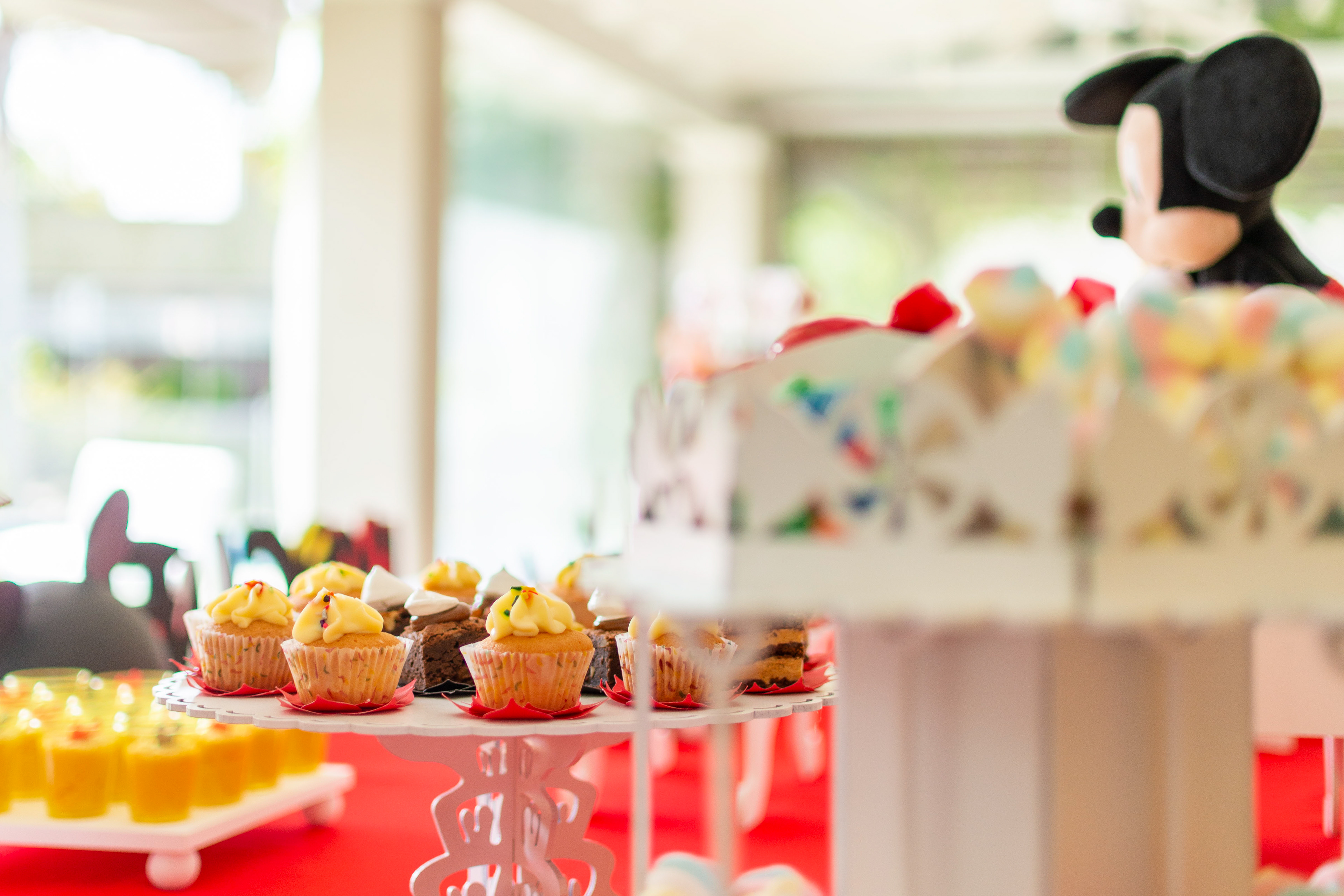  Copyright 2019 ONPH fotografía. Todos los derechos reservados.