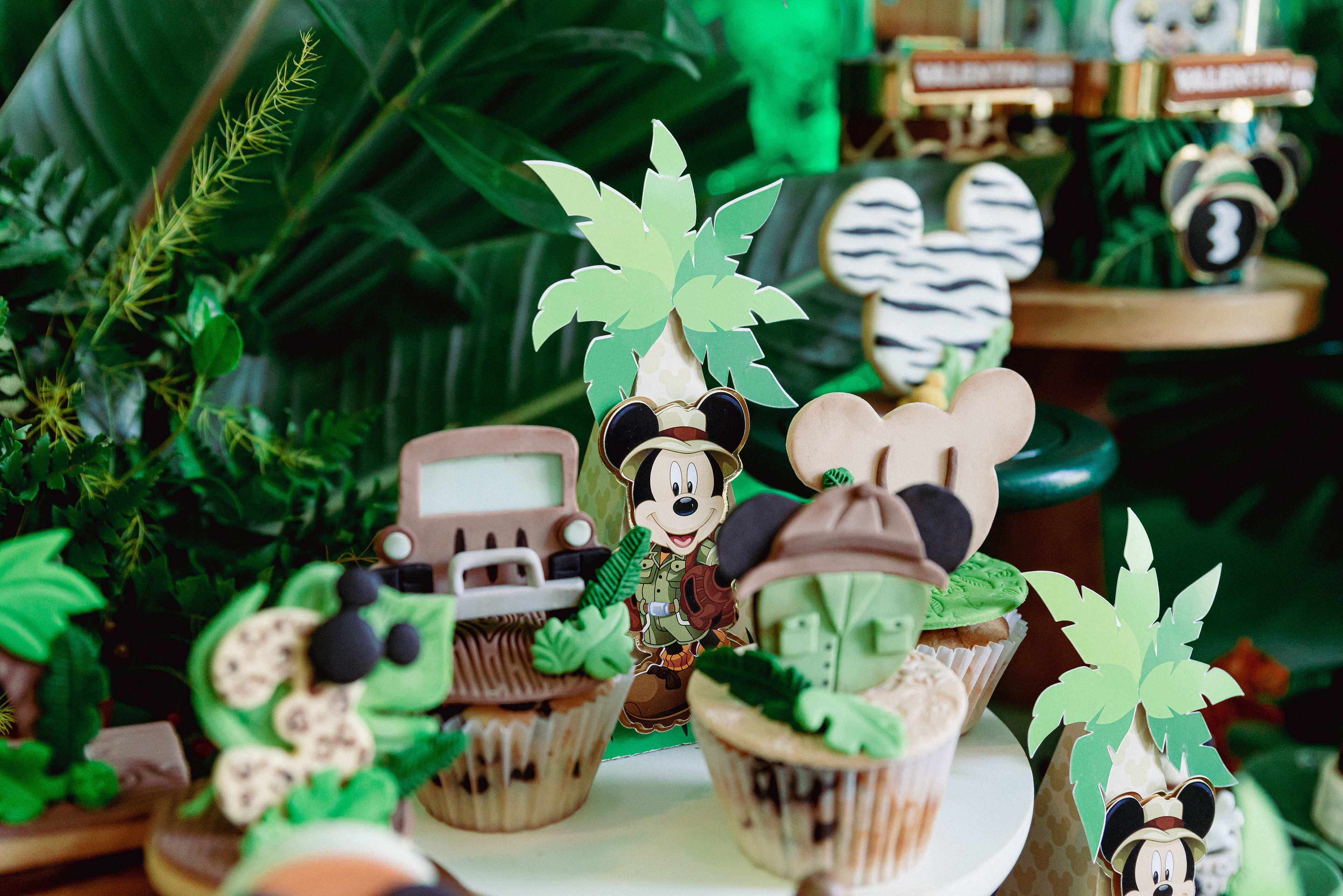 Copyright© ONPH fotografia. Todos los Derechos Reservados