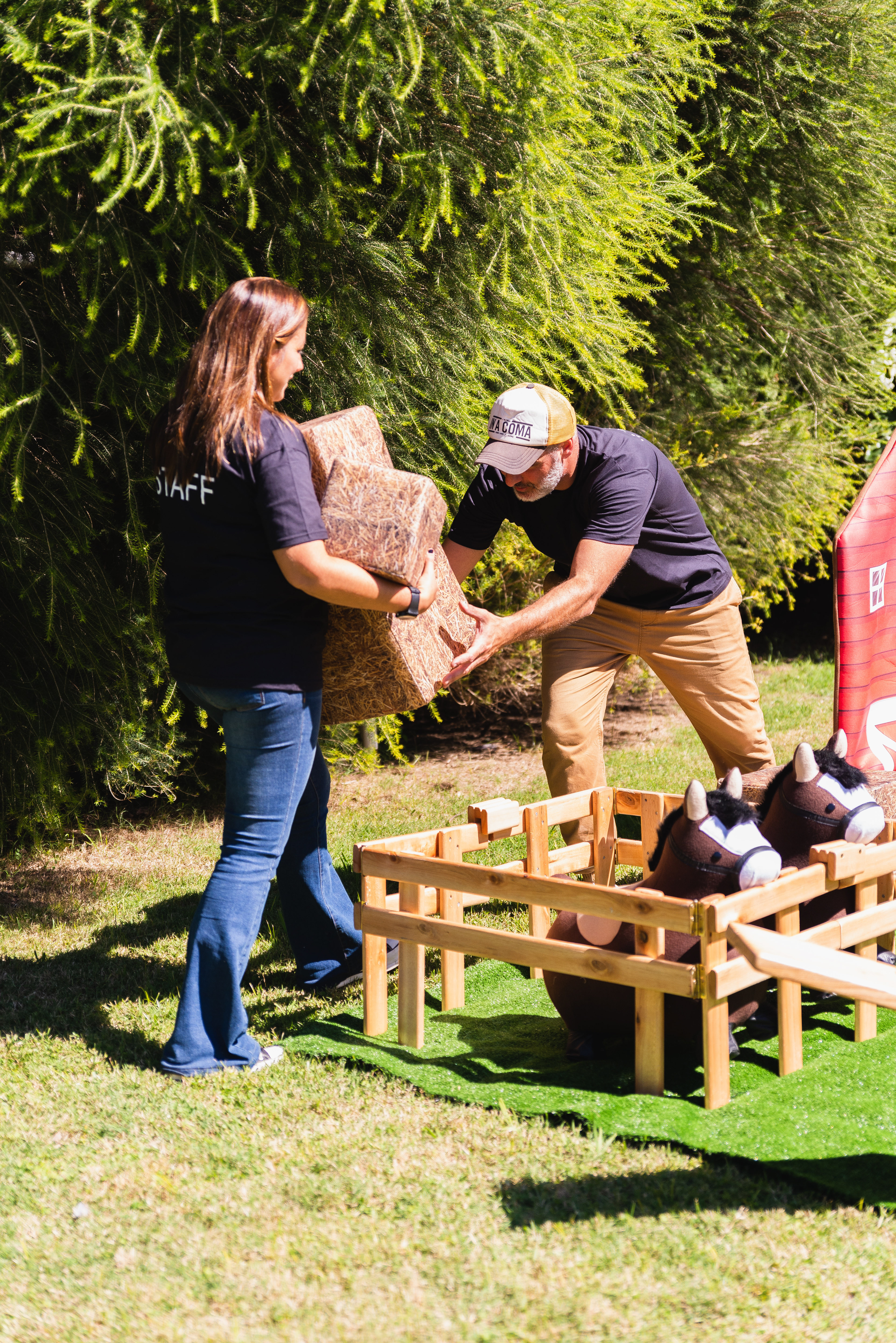 Copyright© ONPH fotografia. Todos los Derechos Reservados