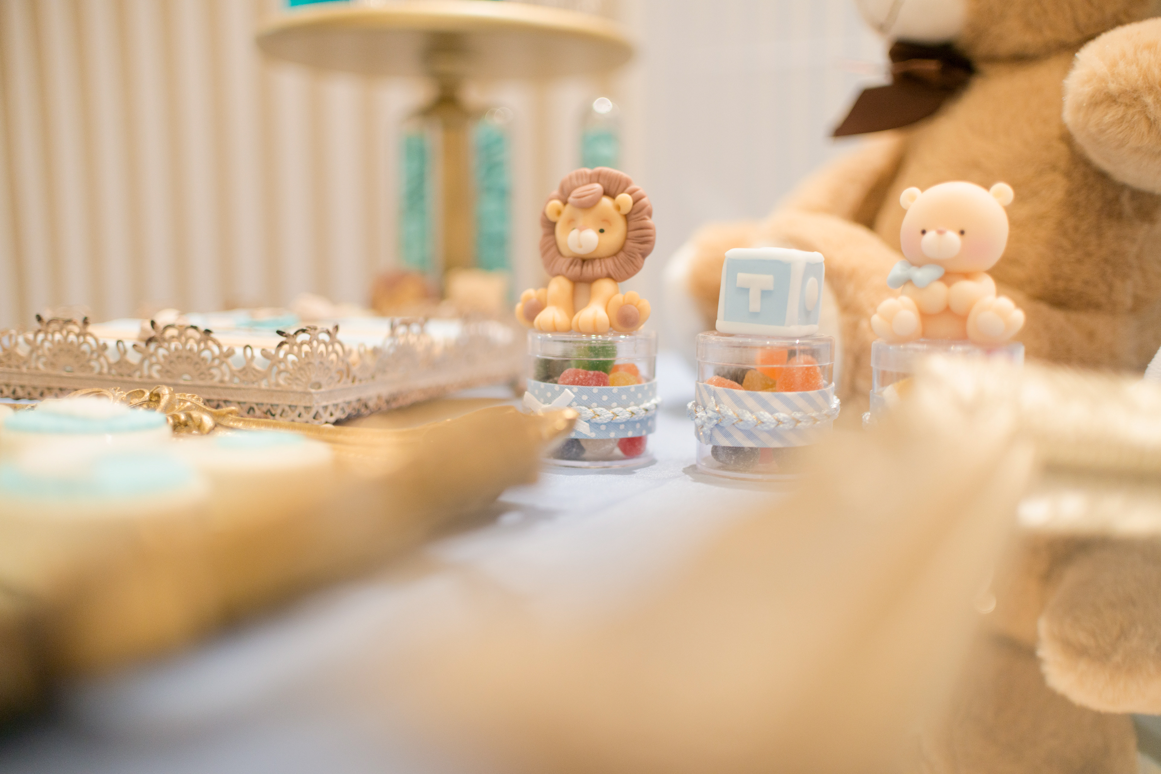 Copyright 2019 ONPH fotografía. Todos los derechos reservados.