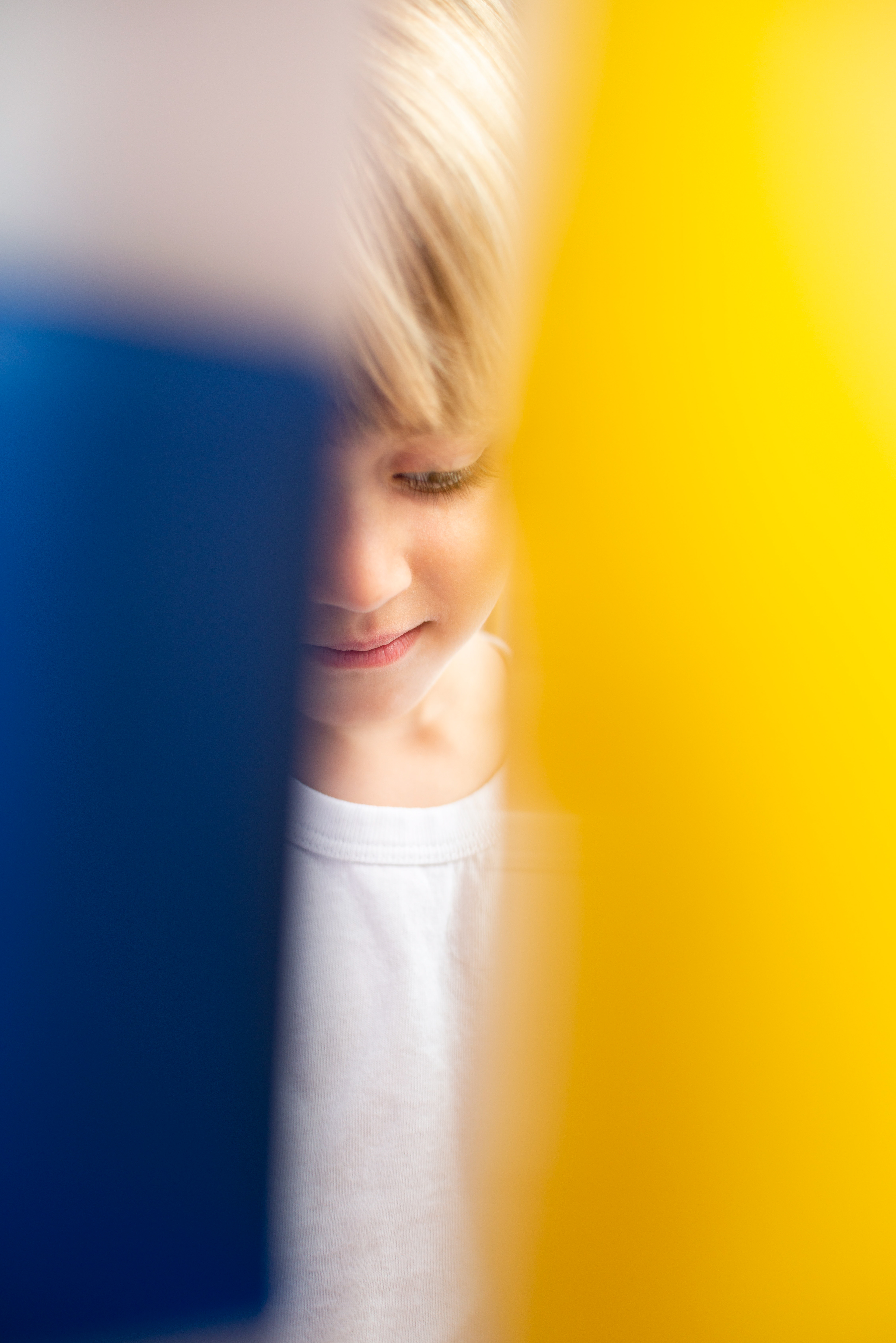 Copyright 2020 ONPH fotografía. Todos los derechos reservados.