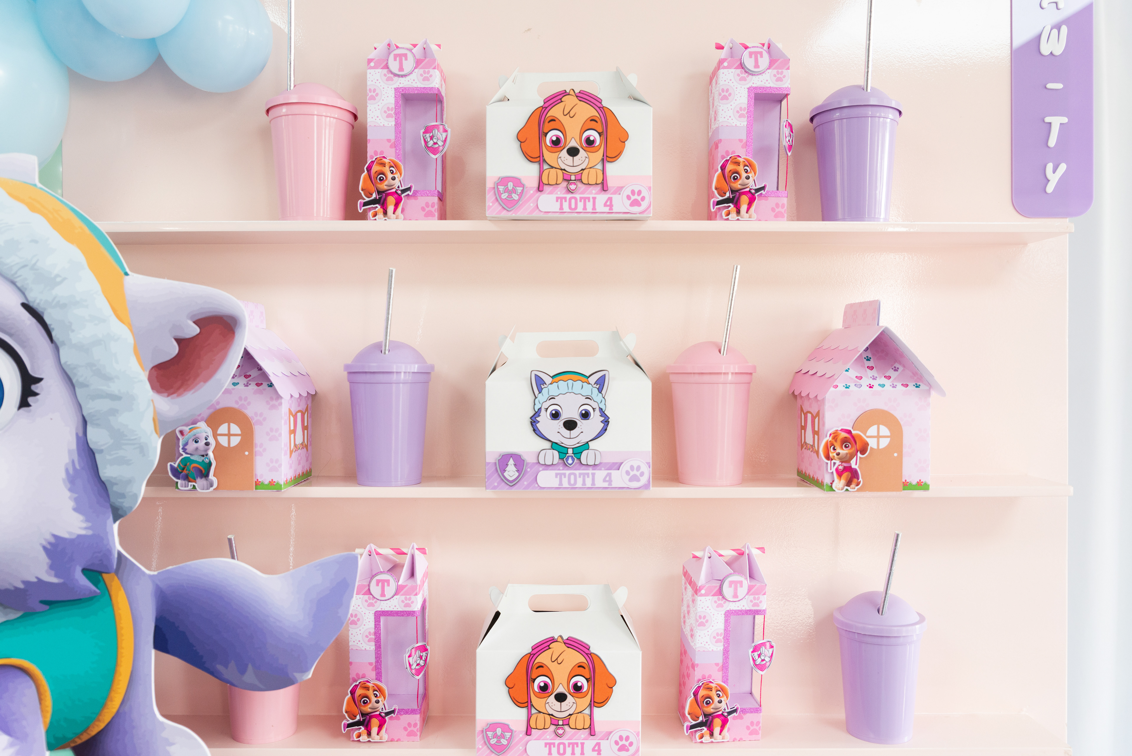 Copyright© ONPH fotografia. Todos los Derechos Reservados