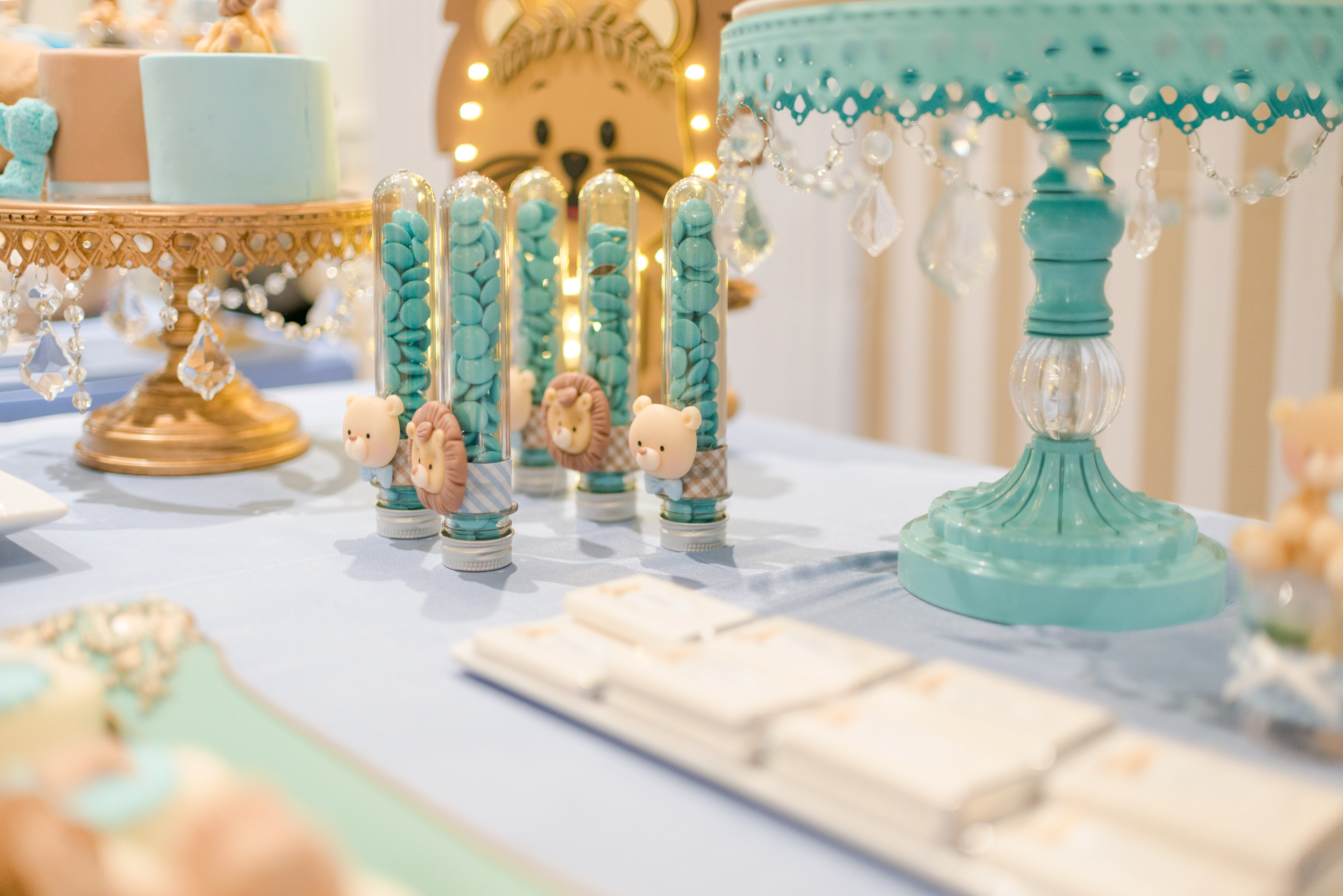 Copyright 2019 ONPH fotografía. Todos los derechos reservados.