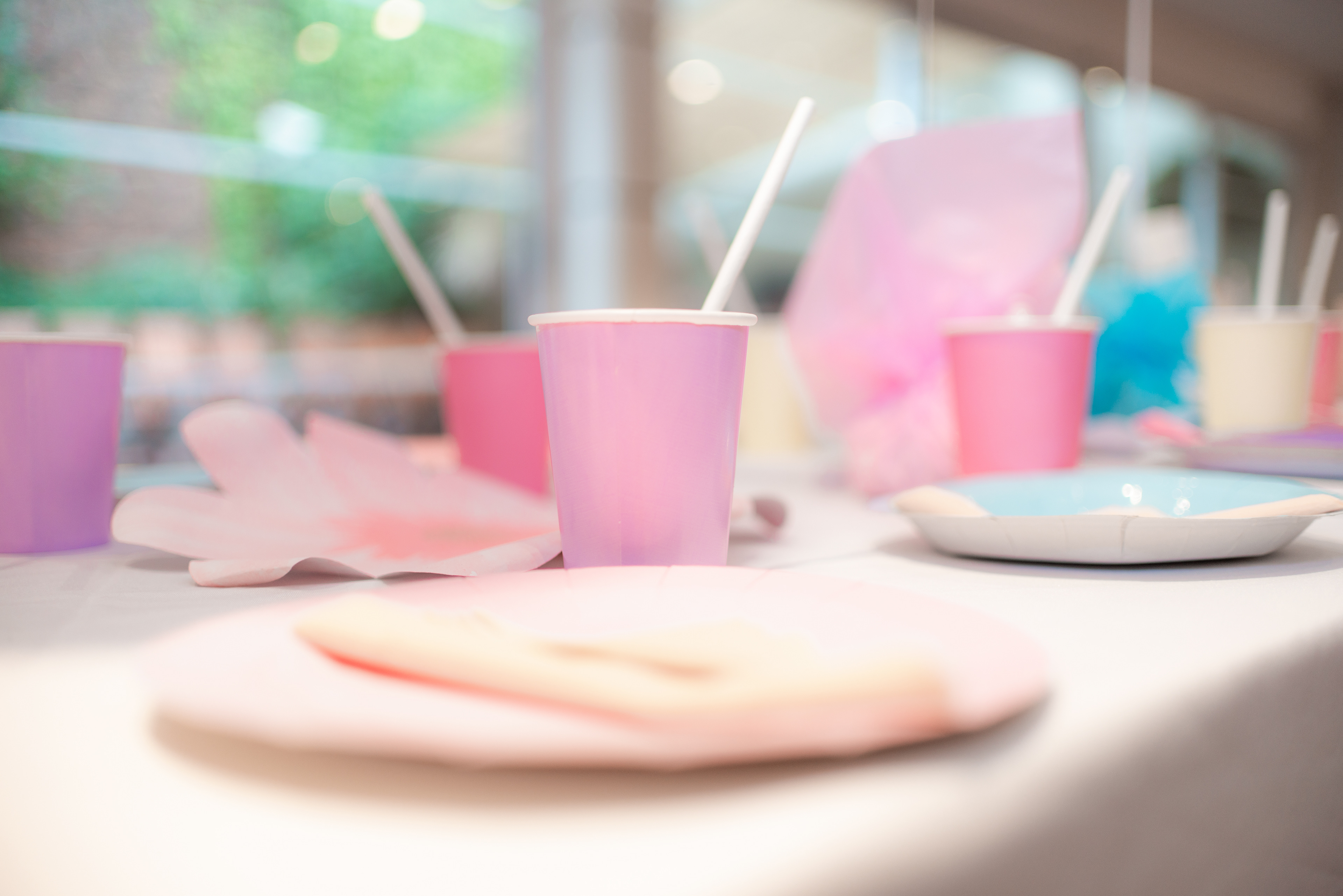 Copyright 2019 ONPH fotografía. Todos los derechos reservados.