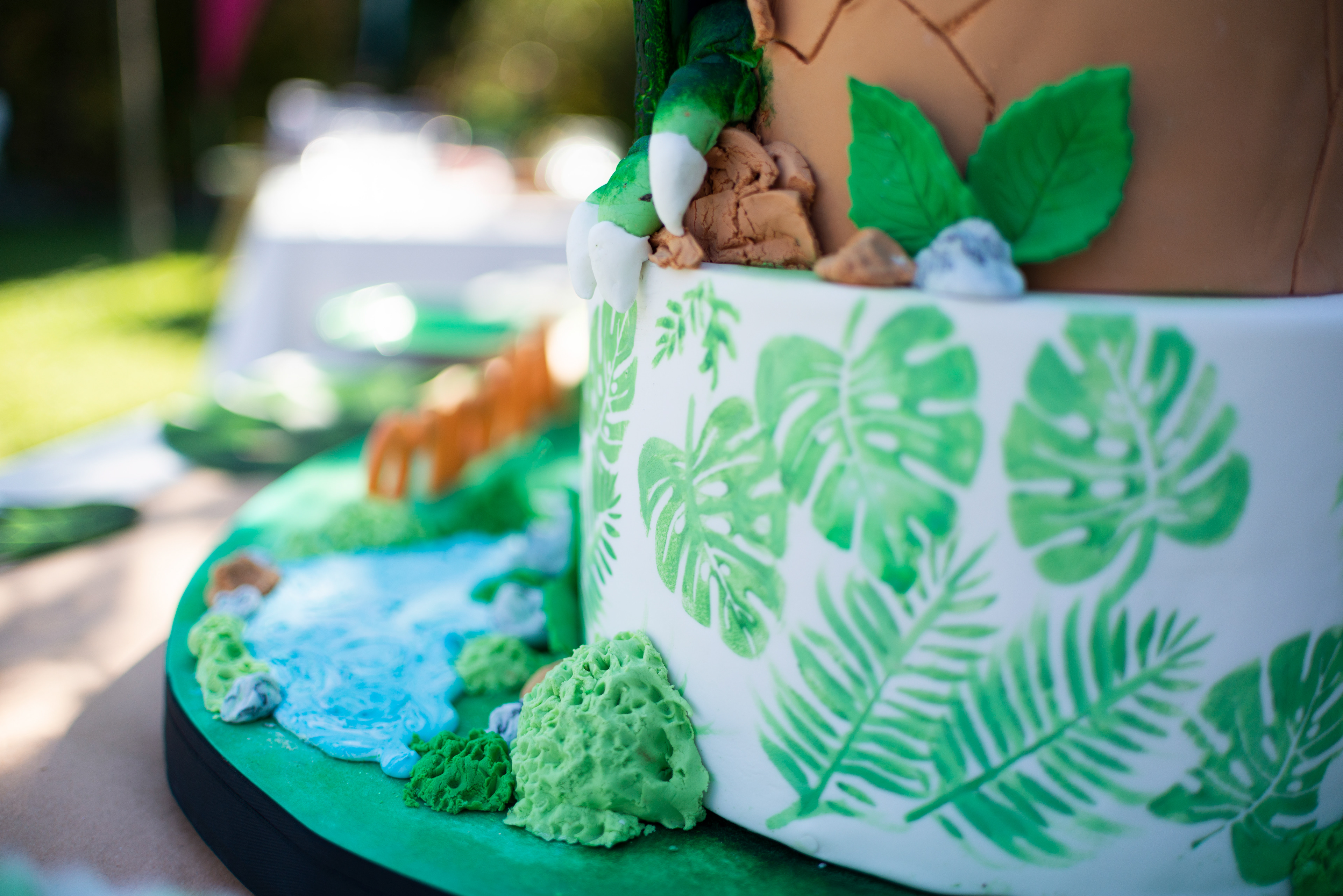 Copyright 2019 ONPH fotografía. Todos los derechos reservados.