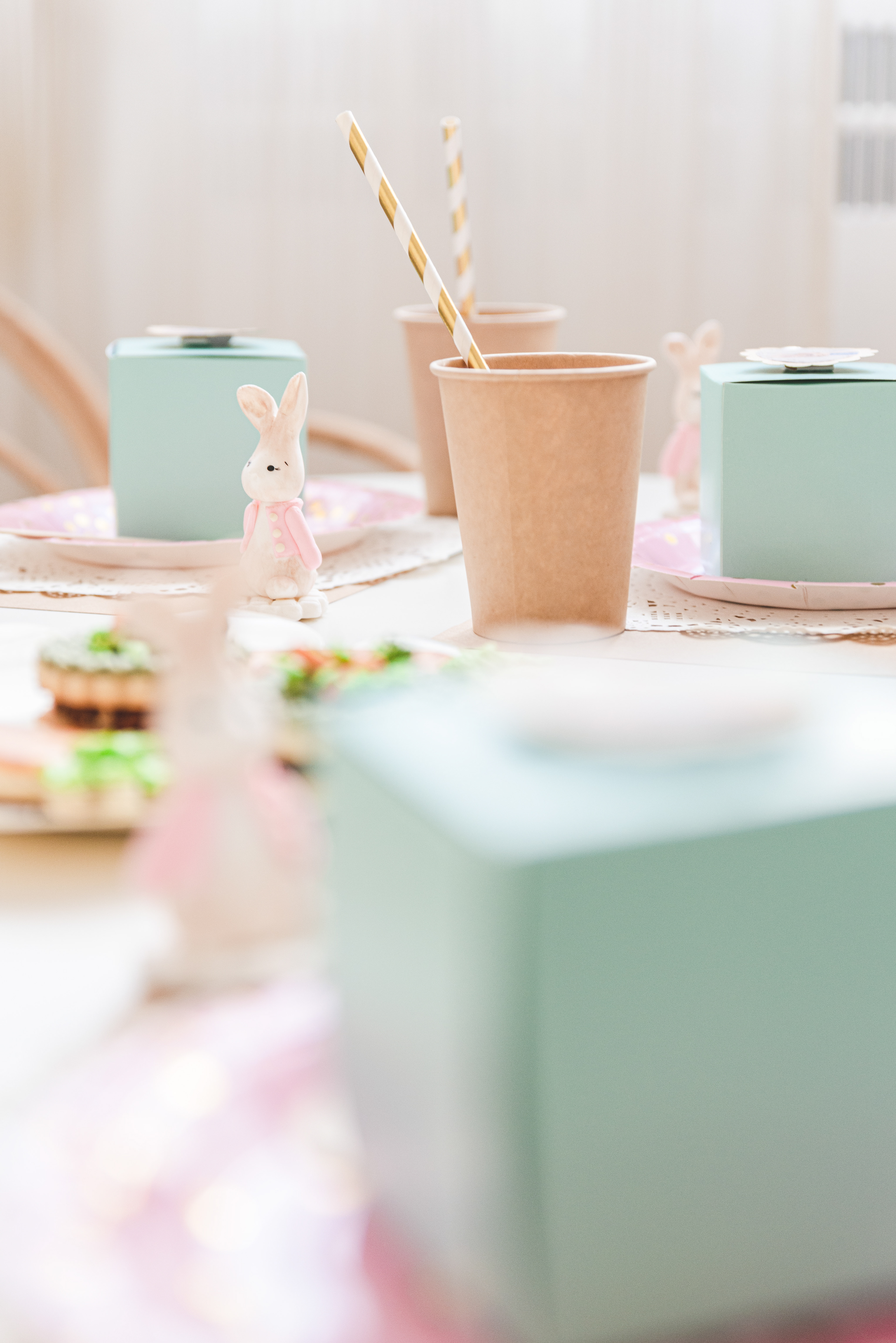 Copyright© ONPH fotografia. Todos los Derechos Reservados