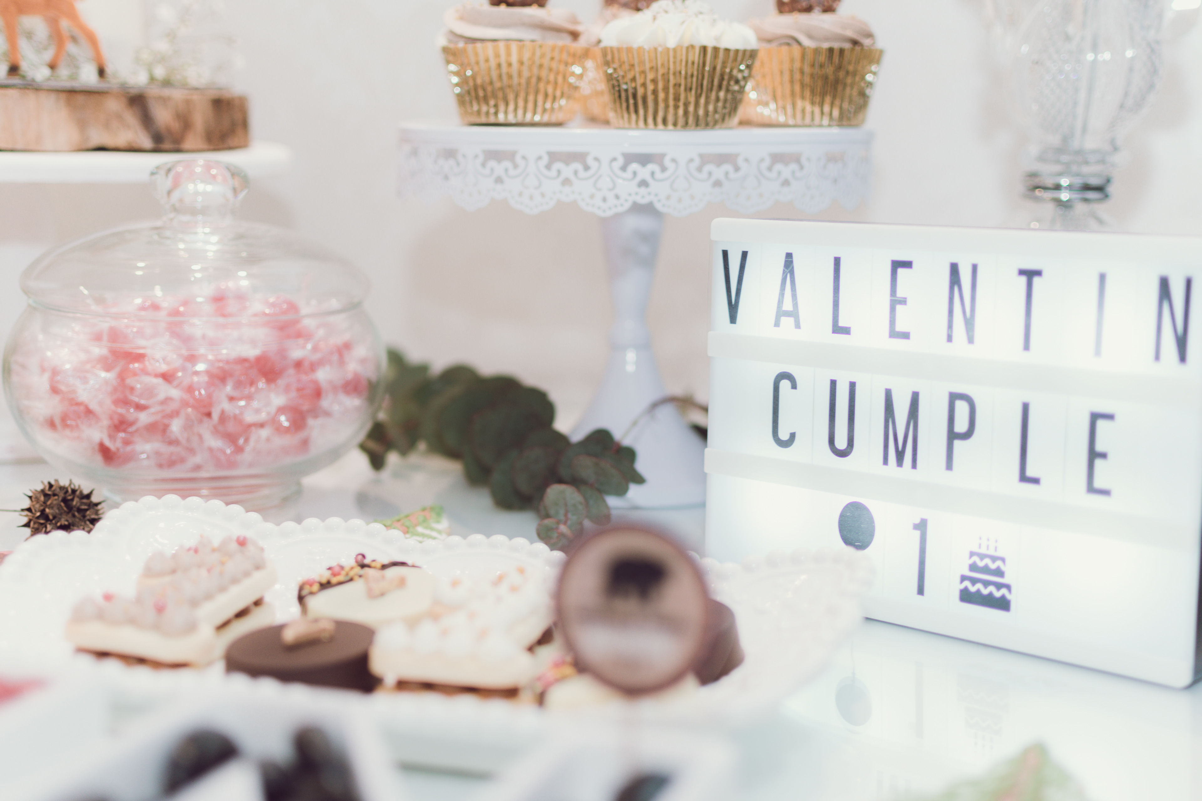 Copyright 2019 ONPH fotografía. Todos los derechos reservados.