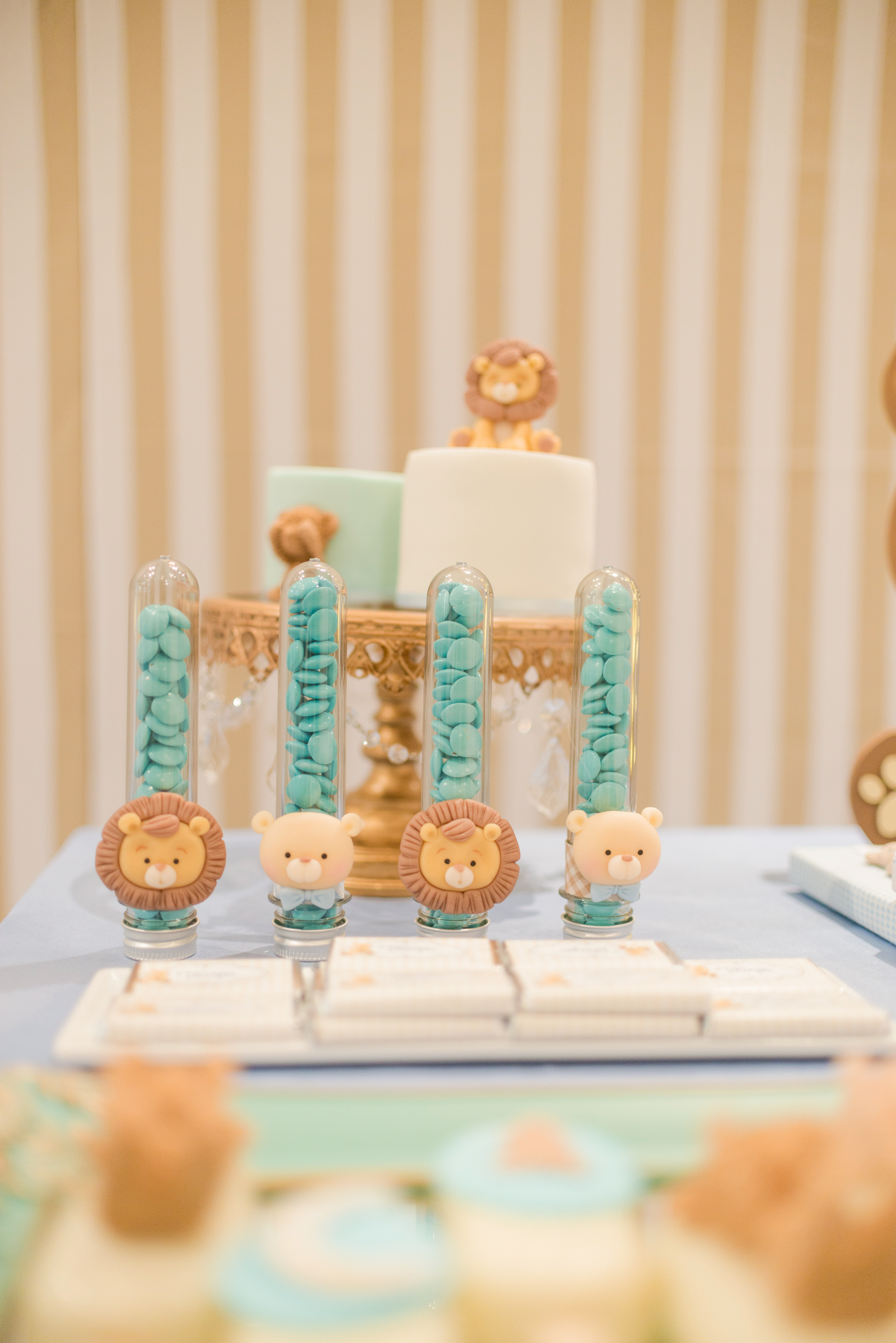 Copyright 2019 ONPH fotografía. Todos los derechos reservados.