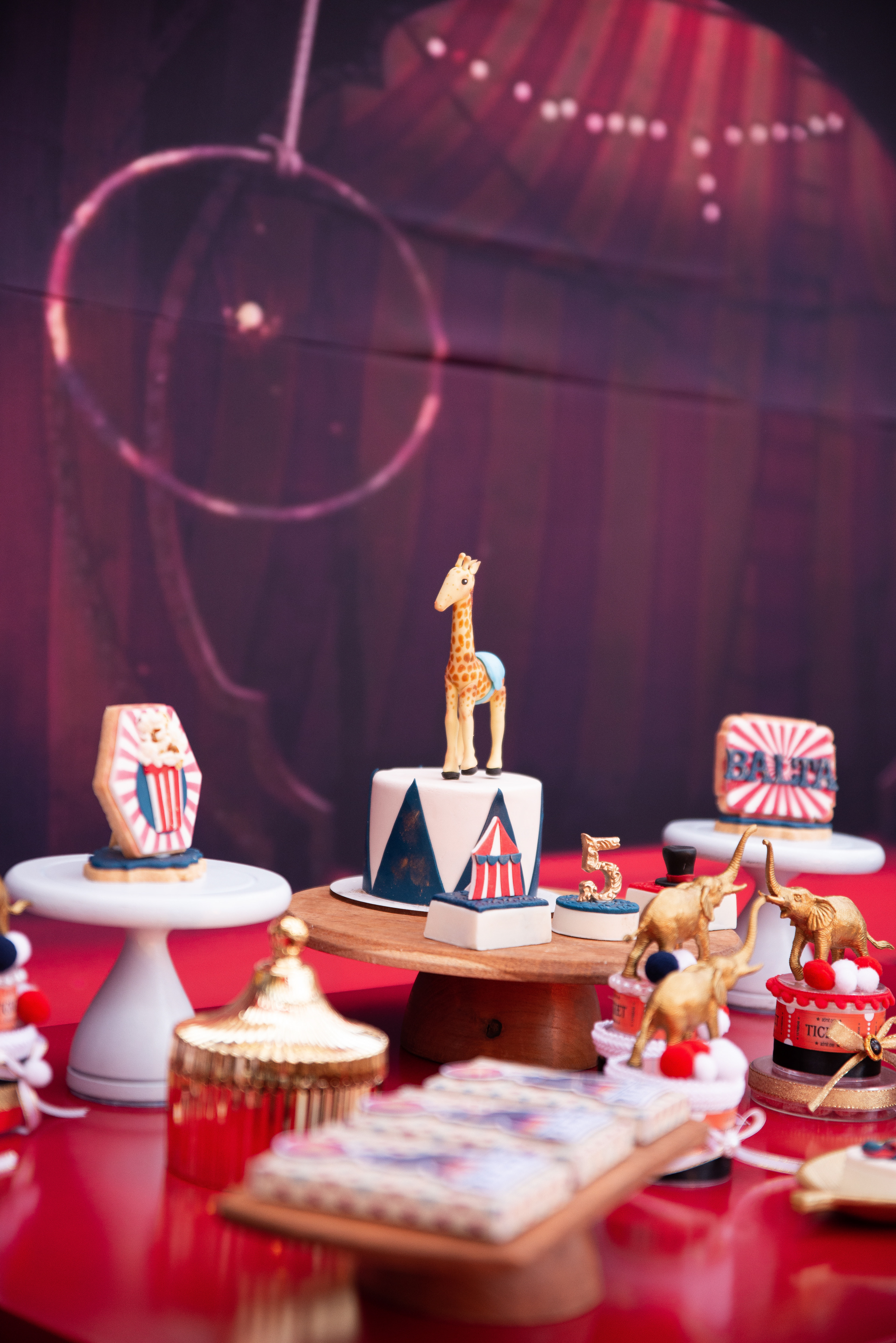 Copyright© ONPH fotografia. Todos los Derechos Reservados