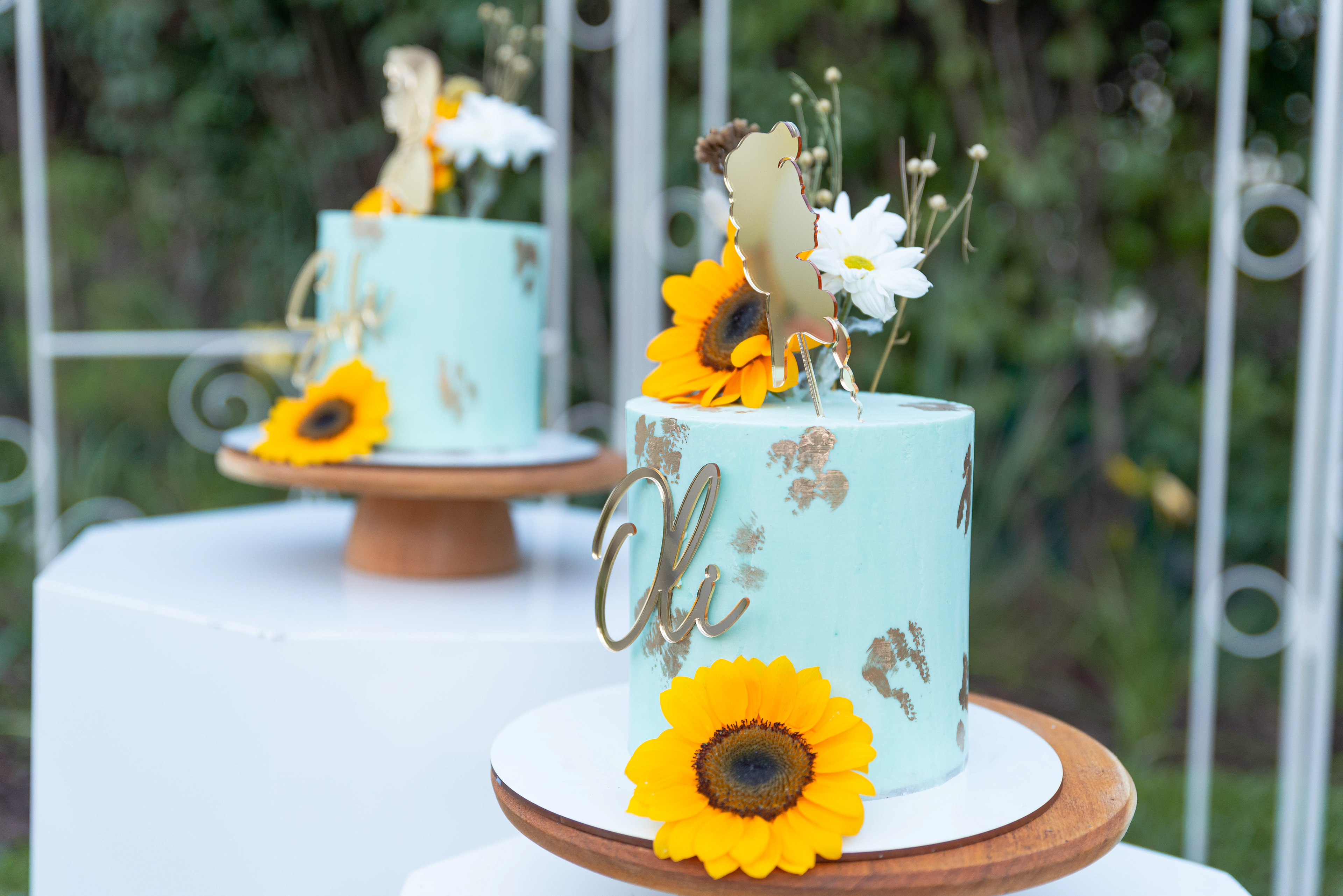 Copyright© ONPH fotografia. Todos los Derechos Reservados