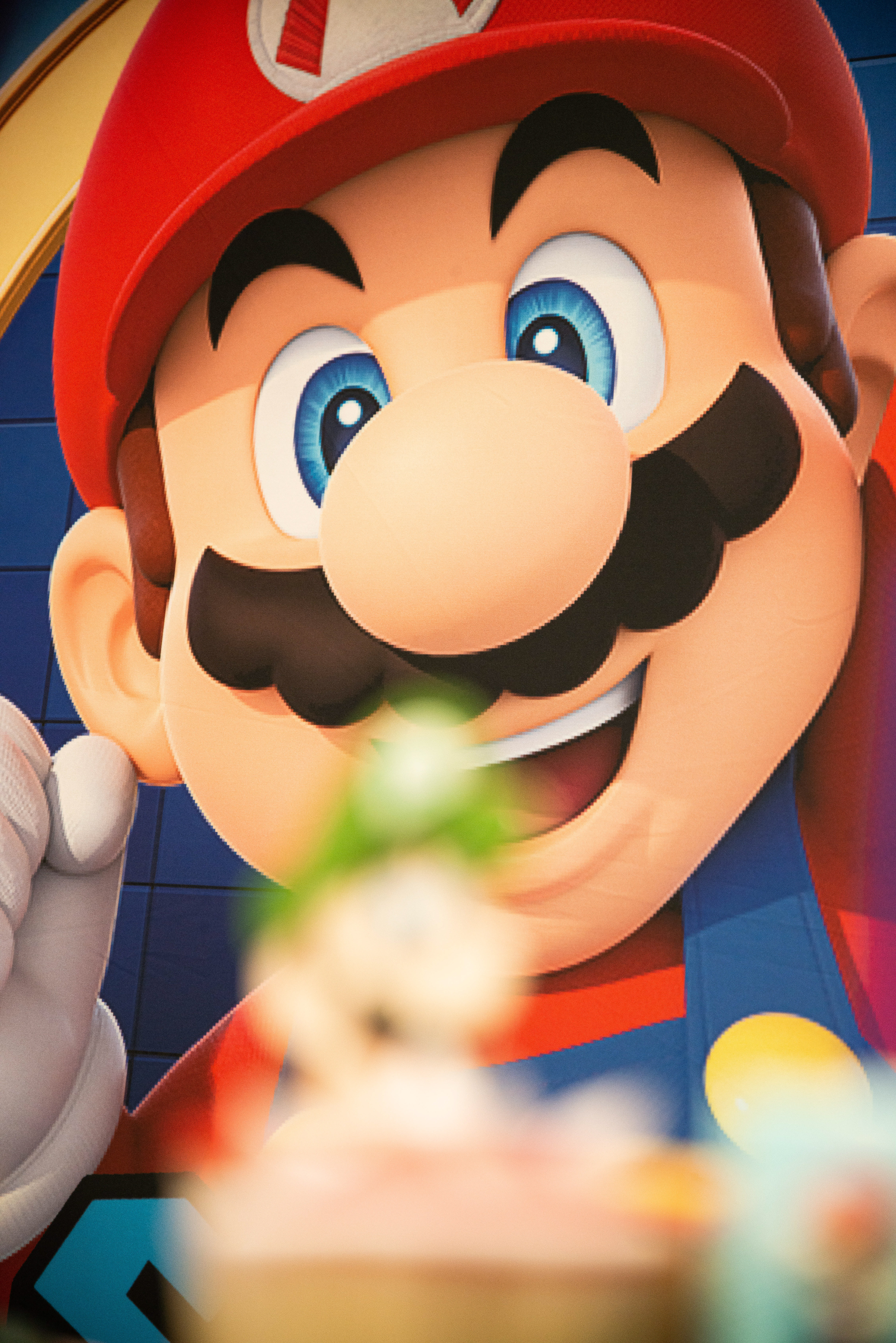 Copyright© ONPH fotografia. Todos los Derechos Reservados