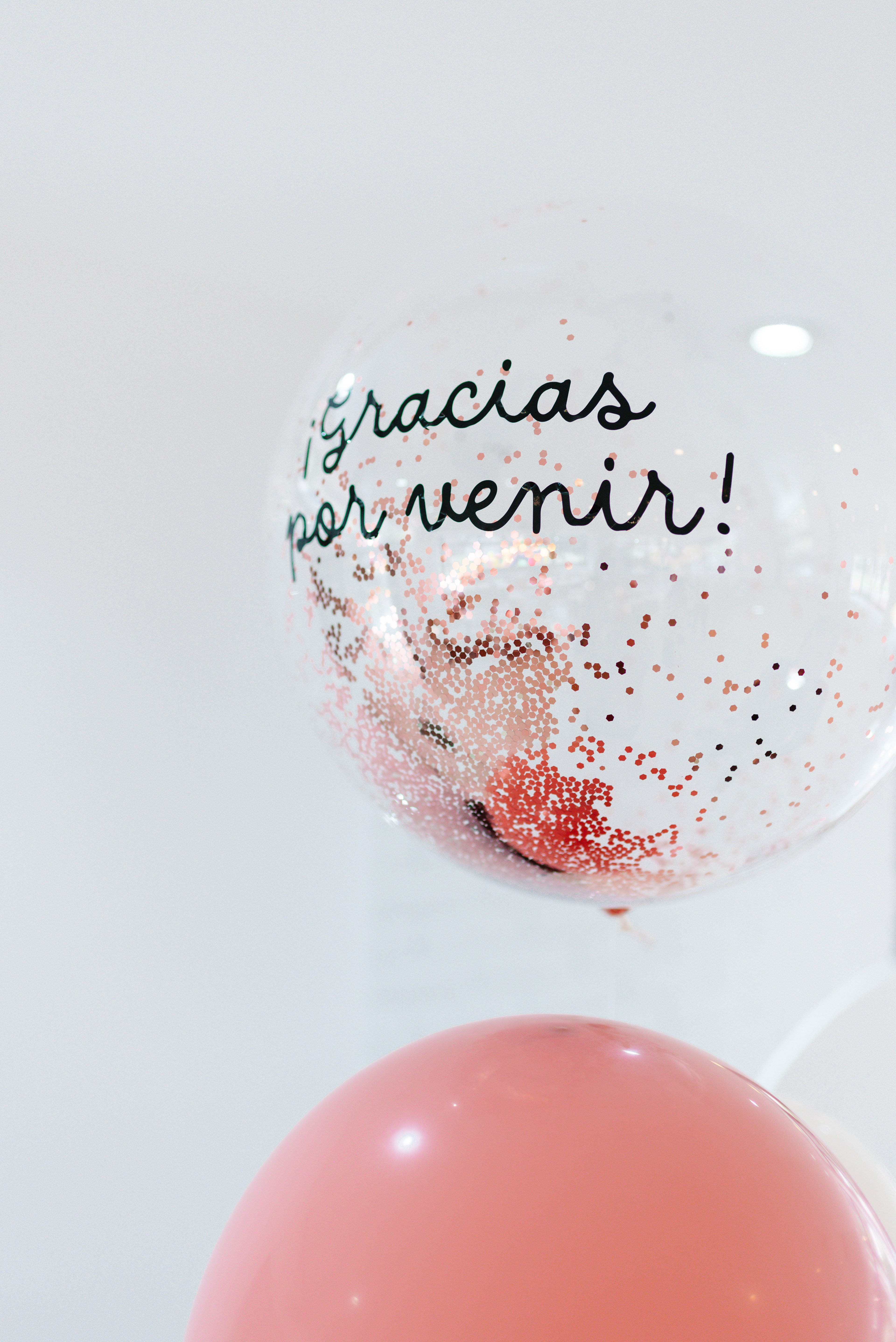 Copyright©2023 ONPH fotografia. Todos los Derechos Reservados