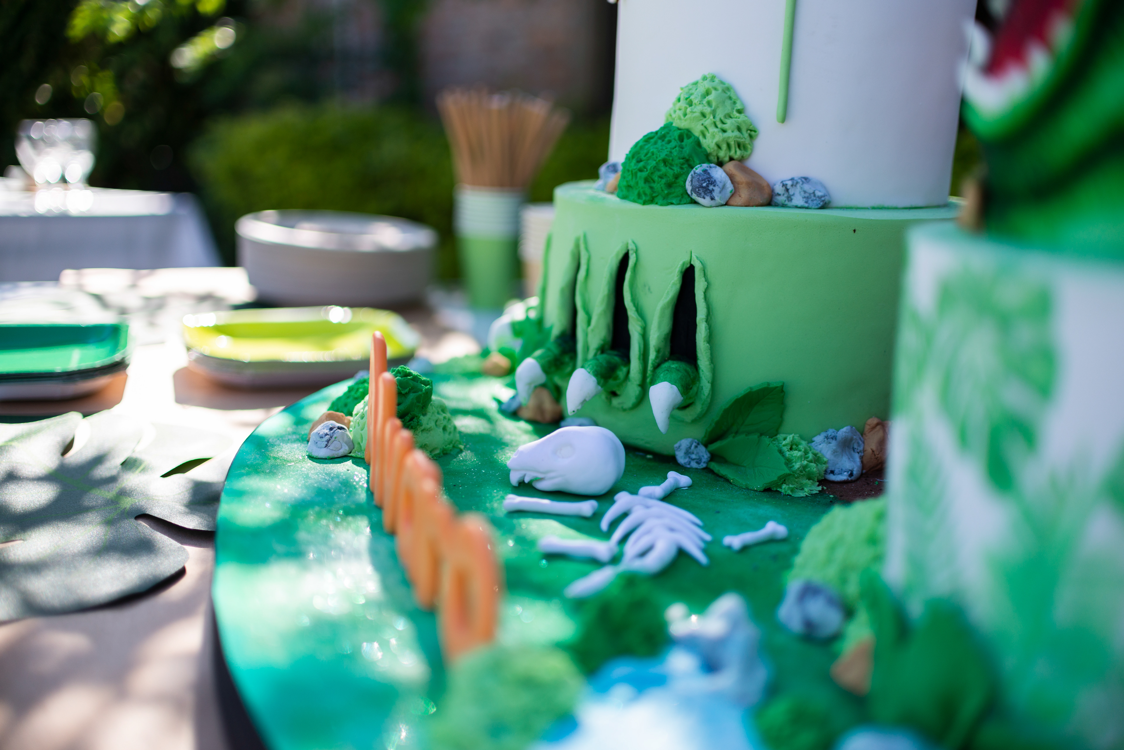 Copyright 2019 ONPH fotografía. Todos los derechos reservados.