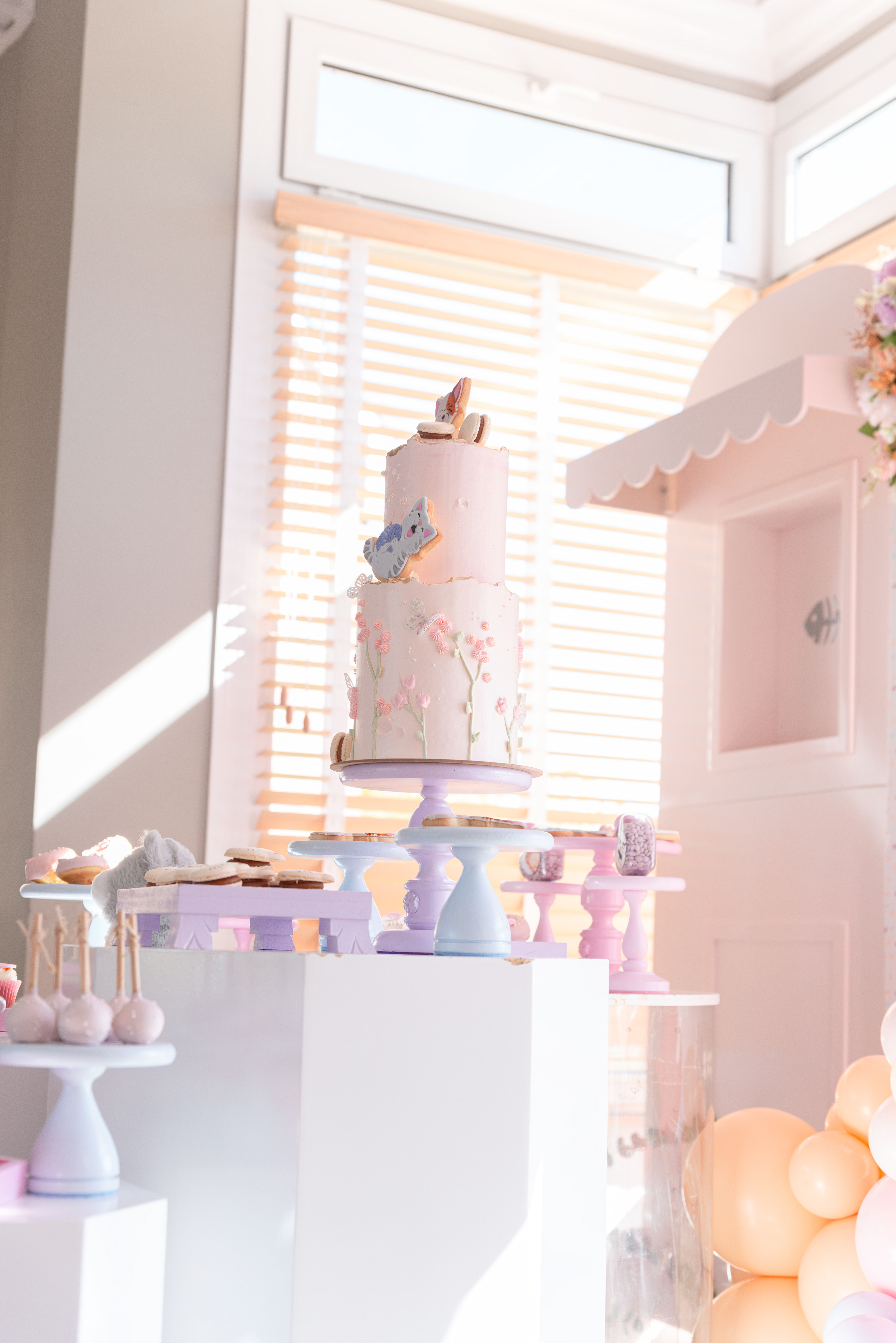 Copyright© ONPH fotografia. Todos los Derechos Reservados