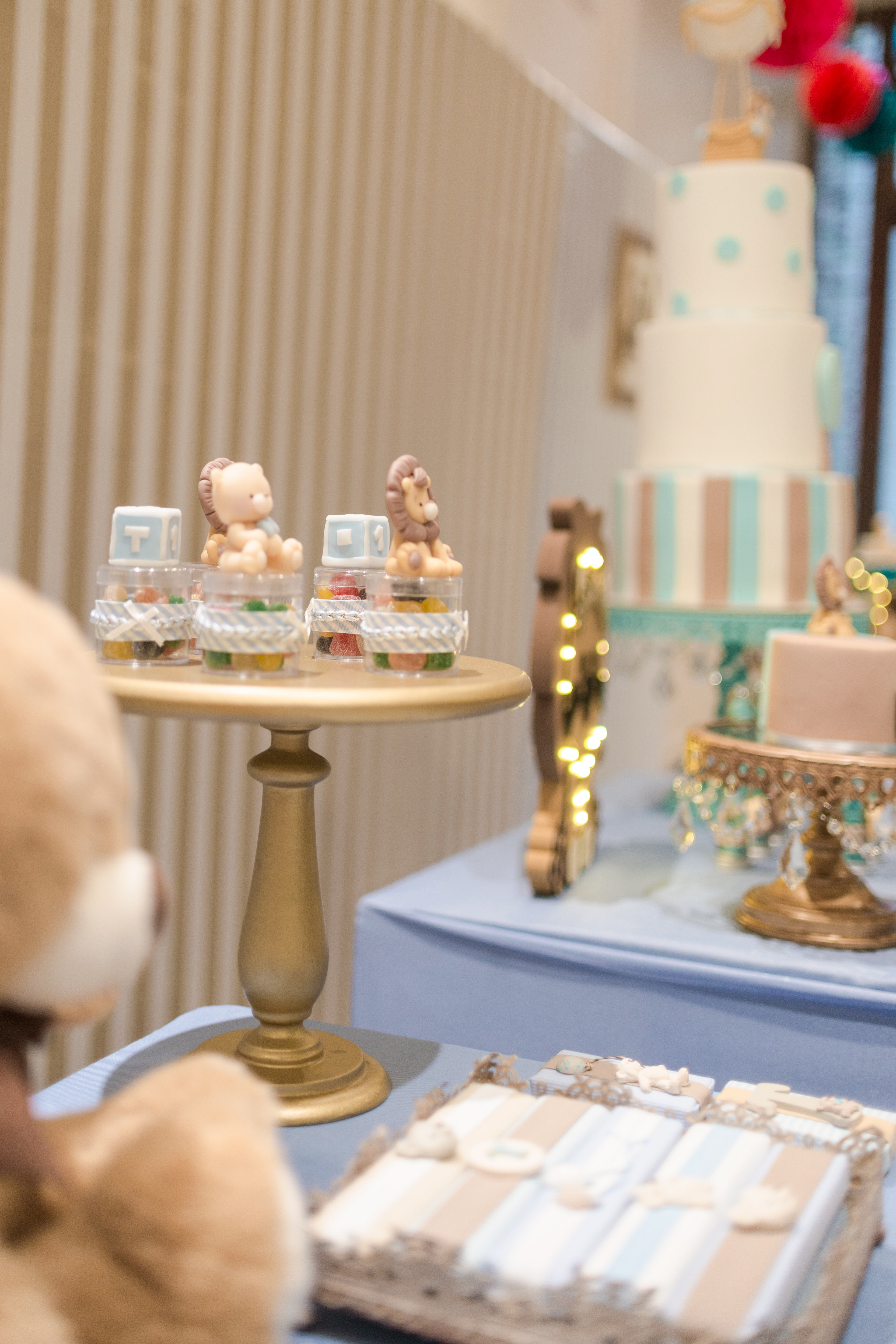 Copyright 2019 ONPH fotografía. Todos los derechos reservados.