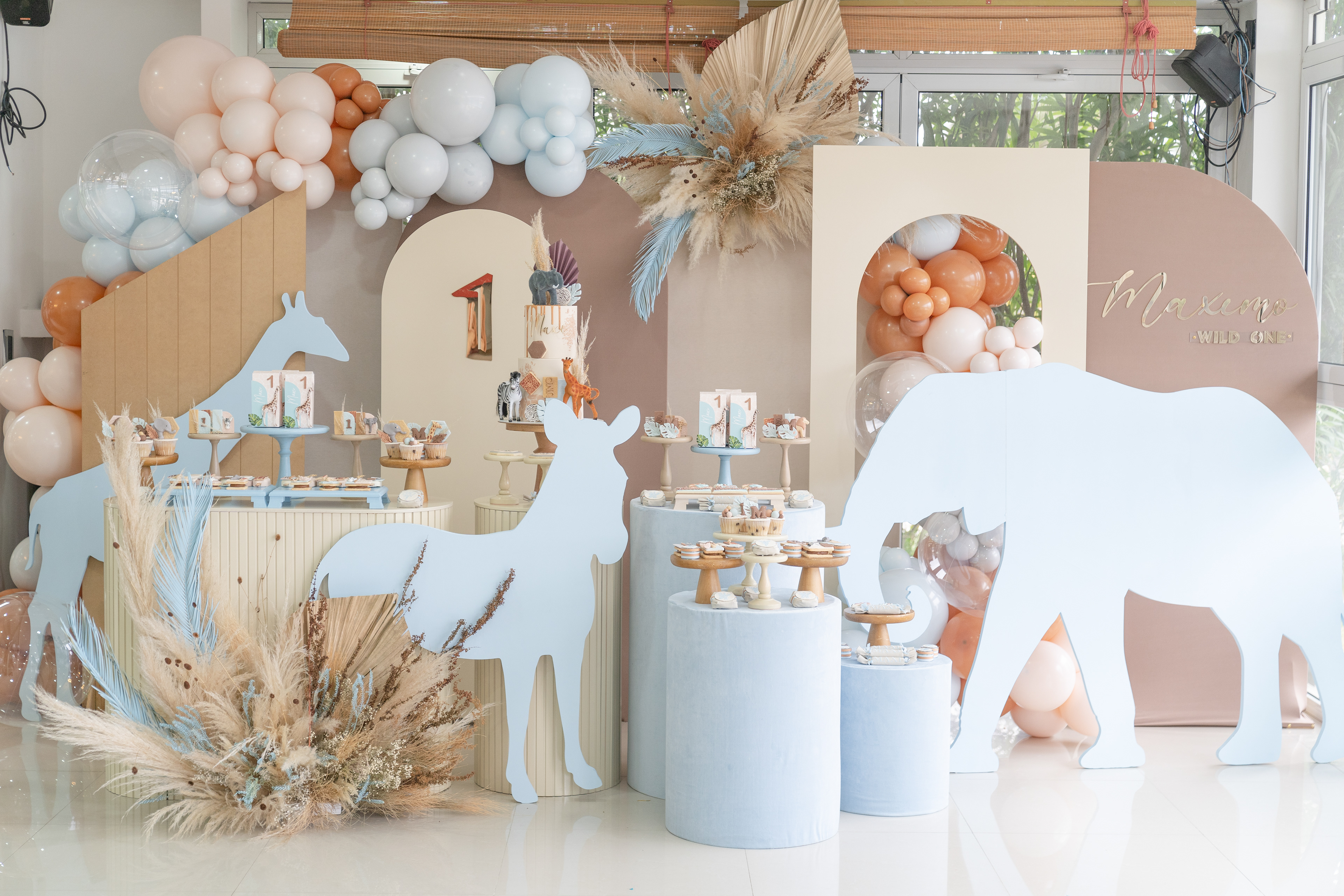 Copyright© ONPH fotografia. Todos los Derechos Reservados