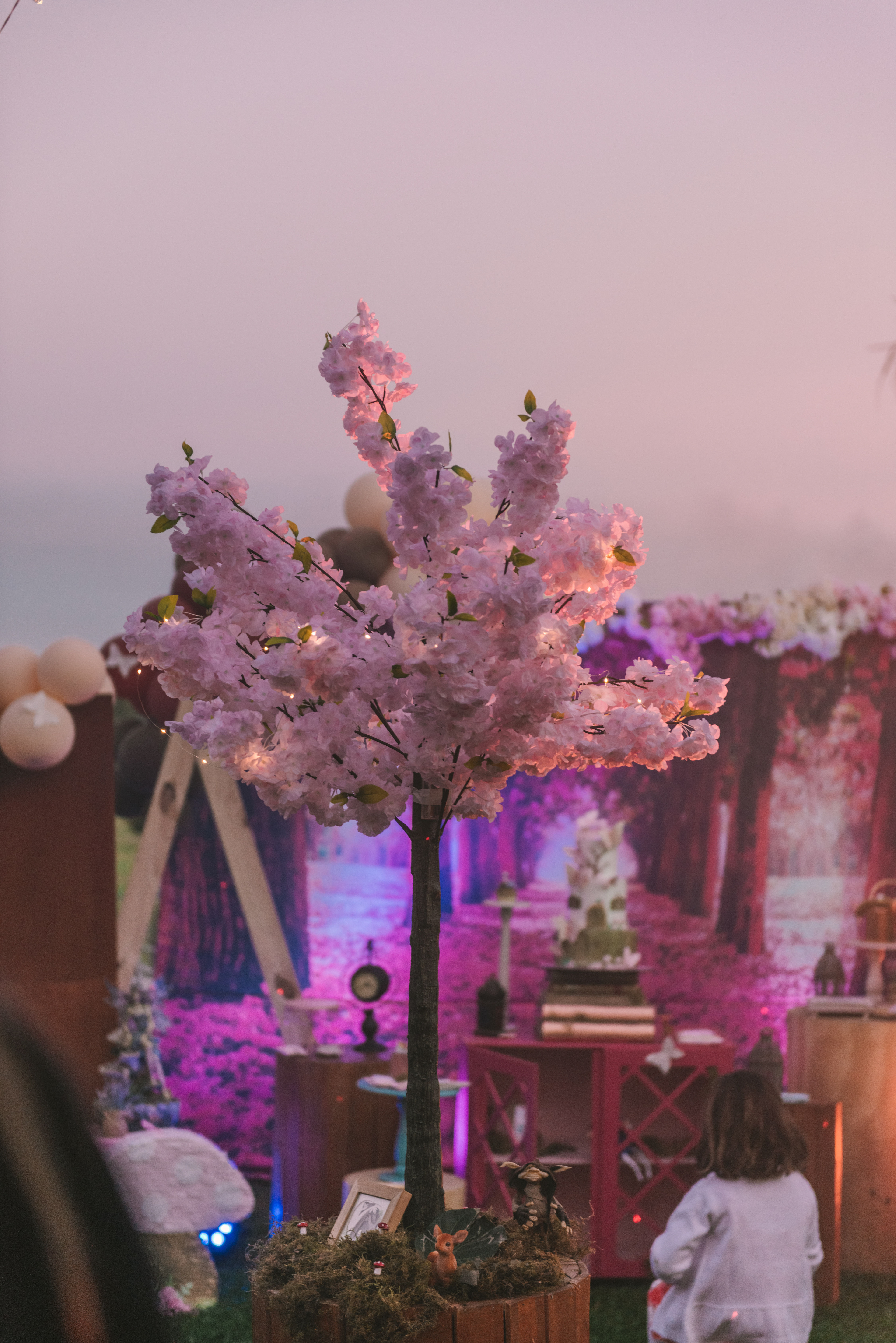 Copyright© 2021 ONPH fotografía. Todos los derechos reservados.