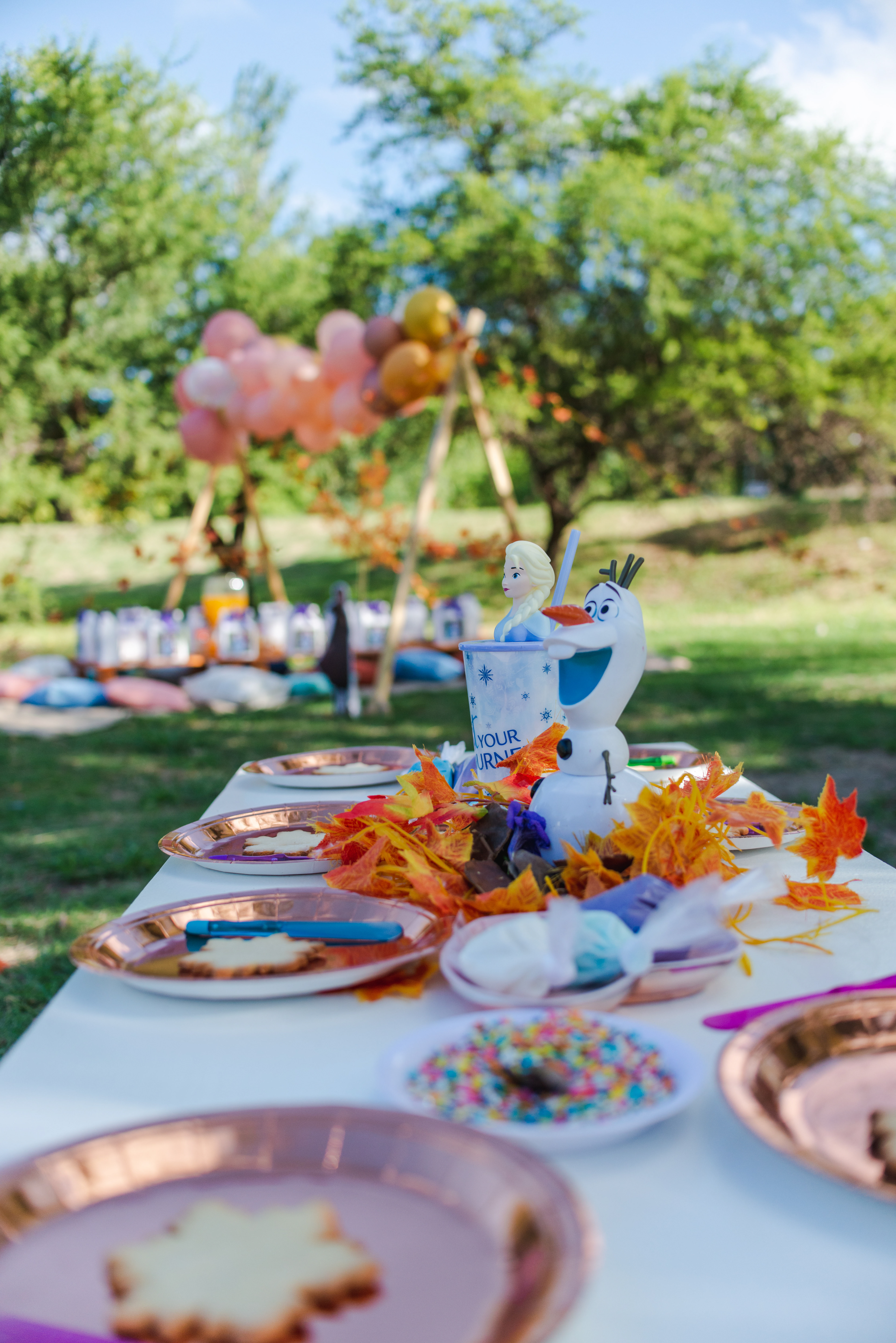 Copyright© 2021 ONPH fotografía. Todos los derechos reservados.