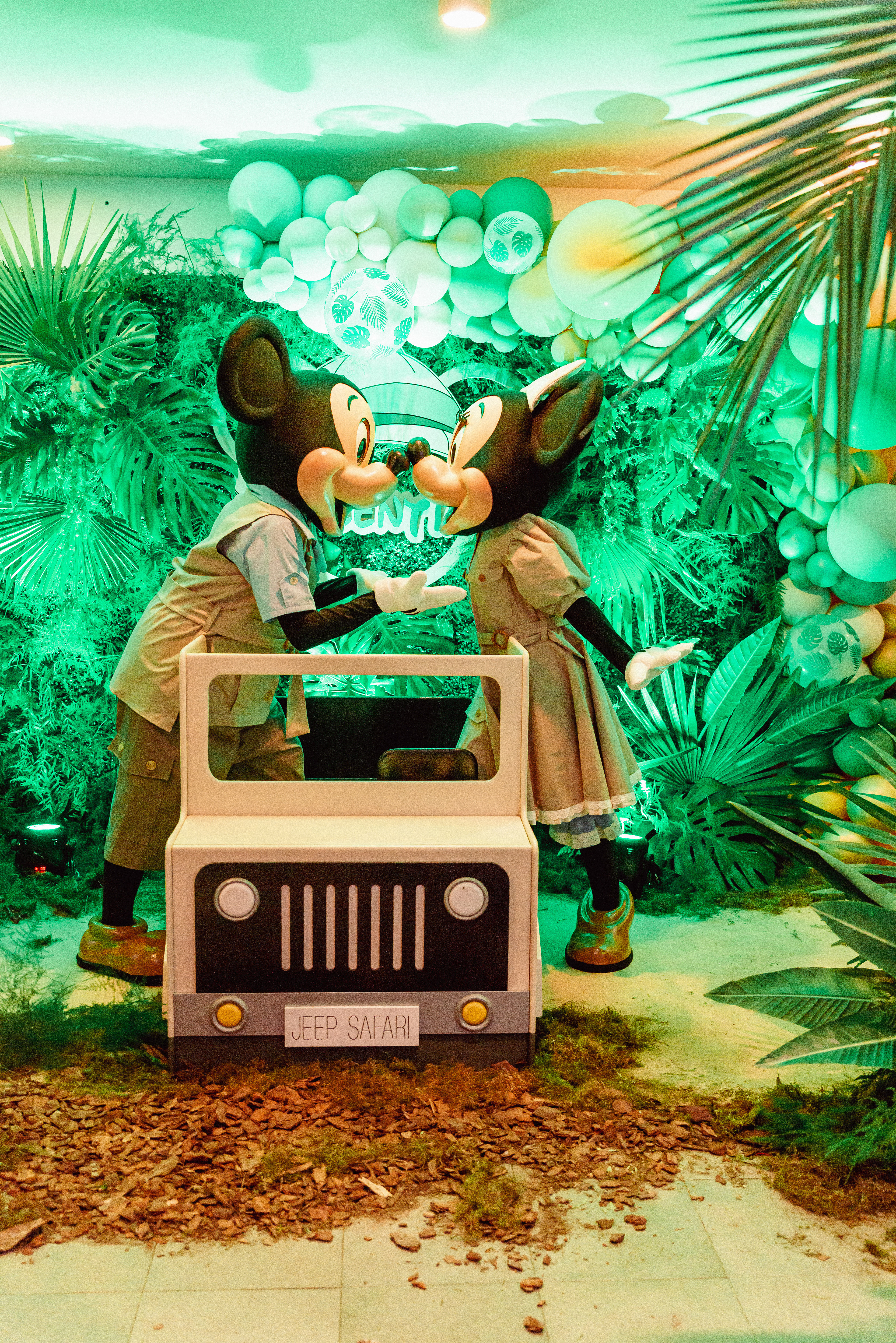 Copyright© ONPH fotografia. Todos los Derechos Reservados