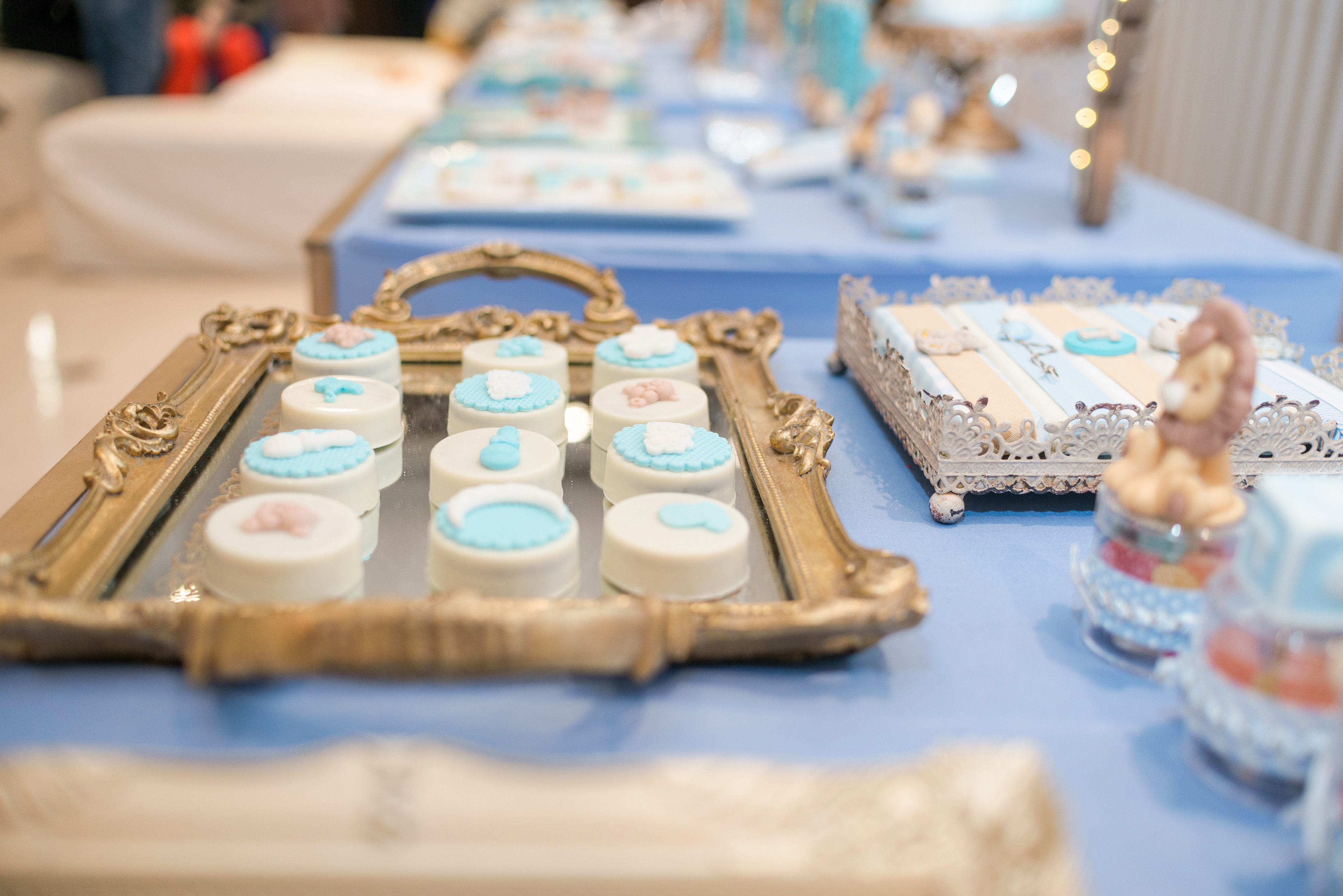 Copyright 2019 ONPH fotografía. Todos los derechos reservados.