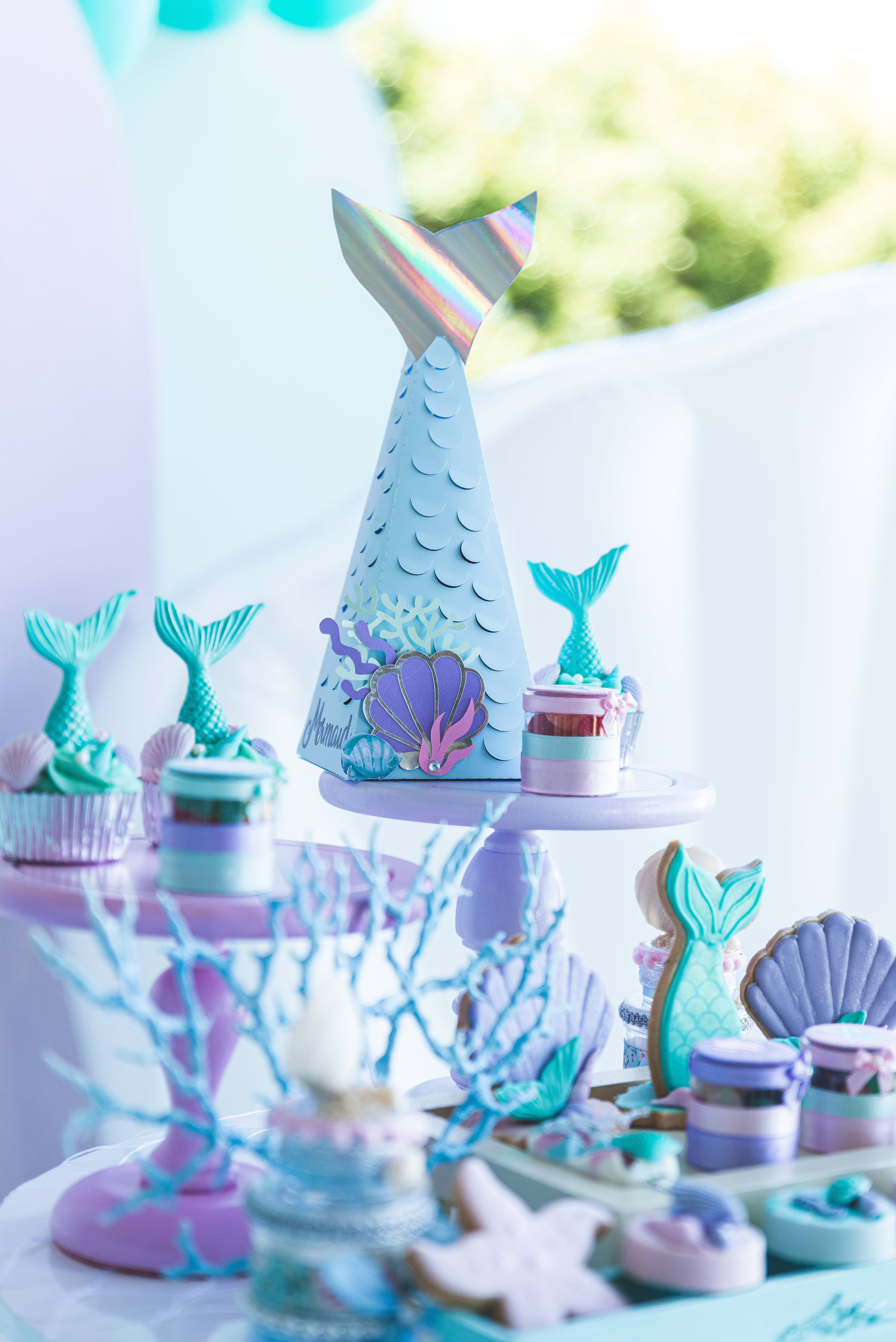 Copyright© ONPH fotografia. Todos los Derechos Reservados