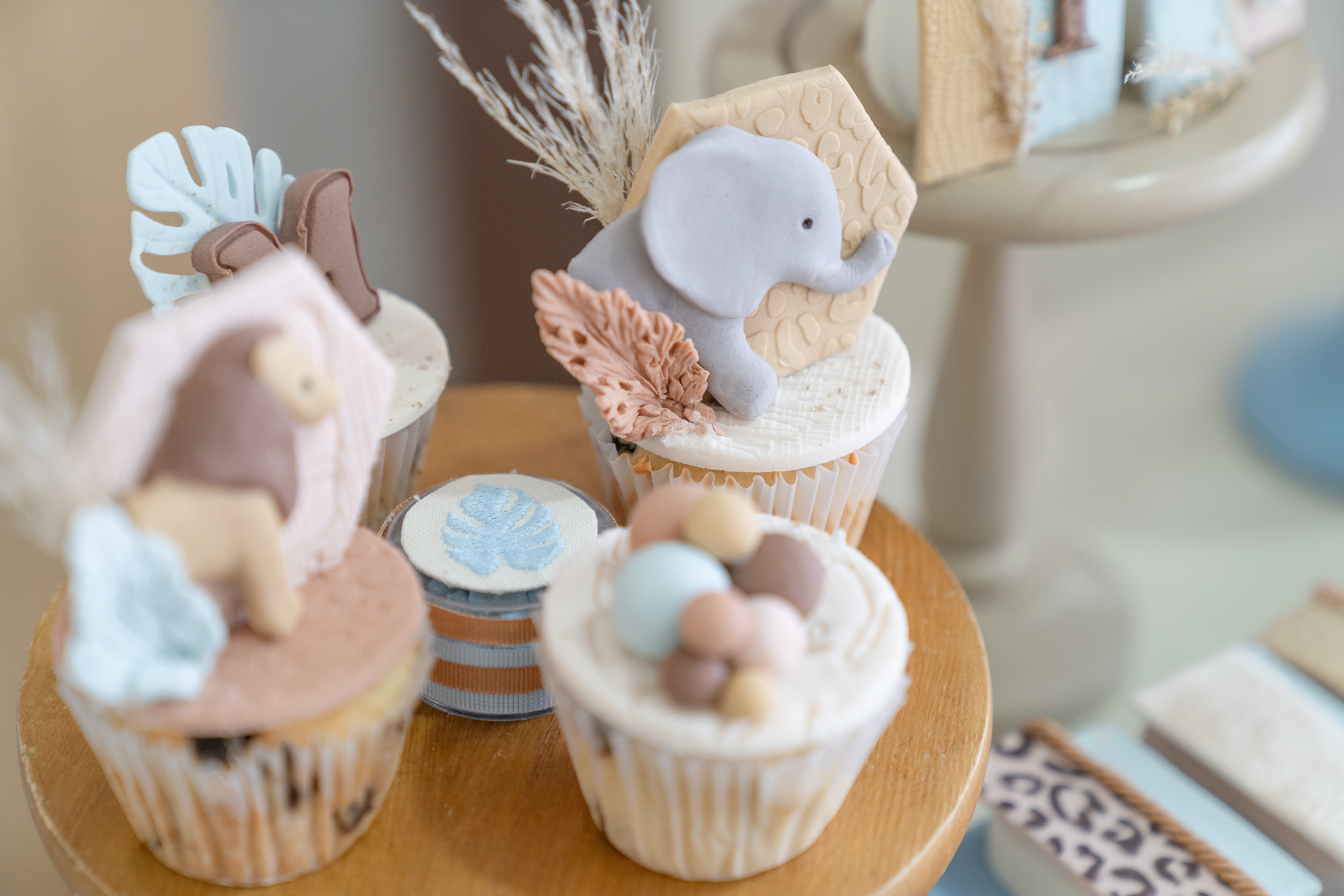 Copyright© ONPH fotografia. Todos los Derechos Reservados