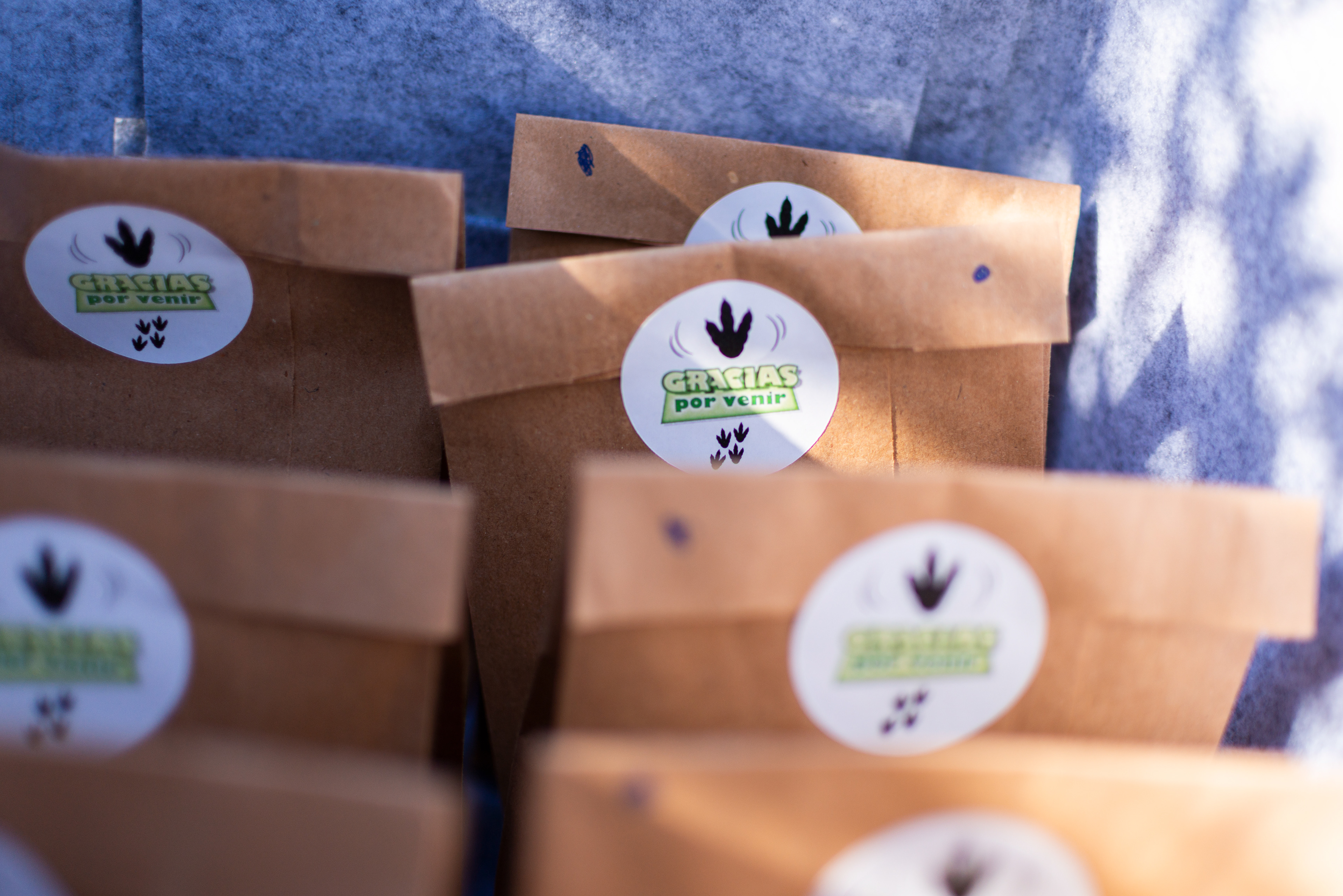 Copyright 2019 ONPH fotografía. Todos los derechos reservados.