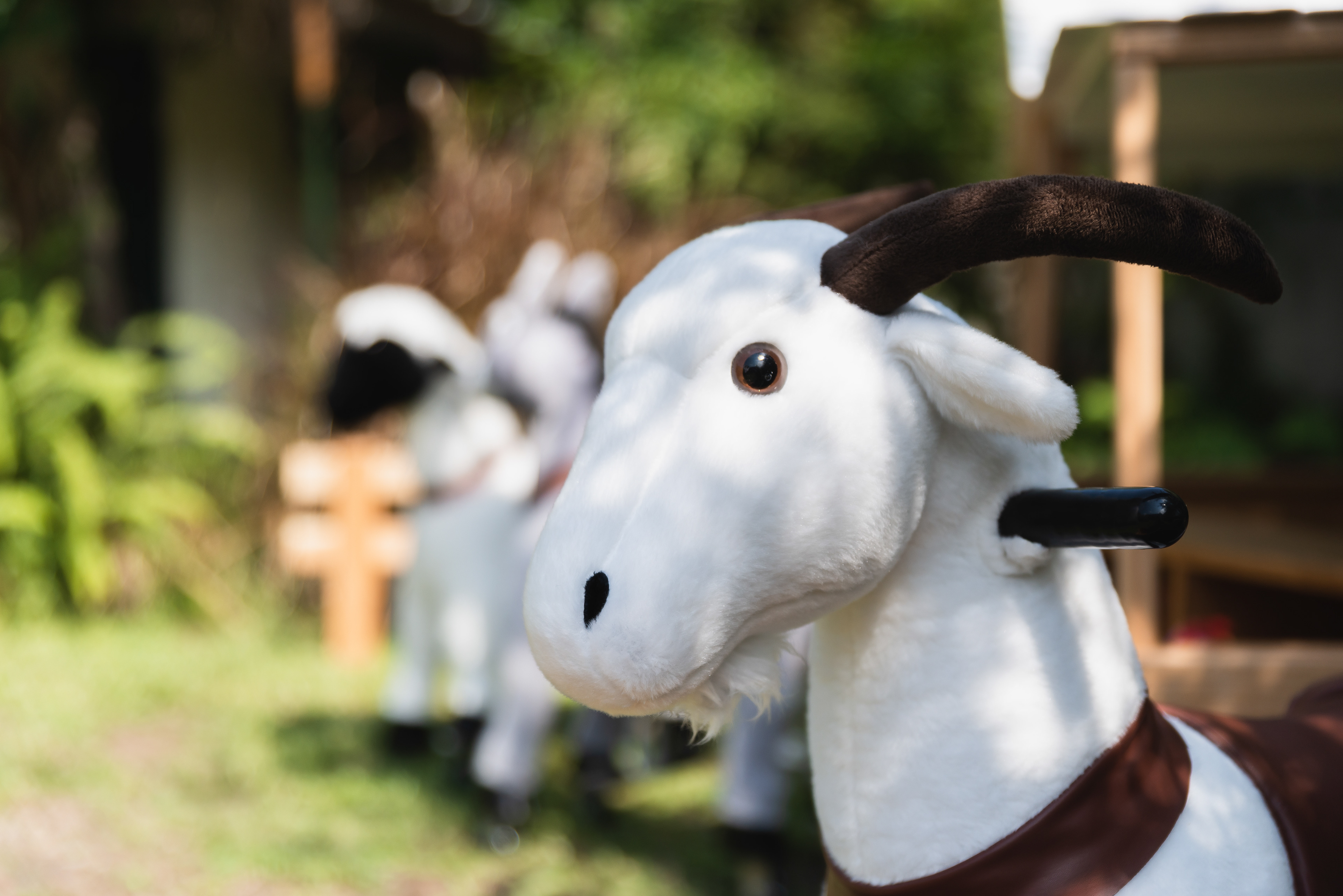 Copyright© ONPH fotografia. Todos los Derechos Reservados