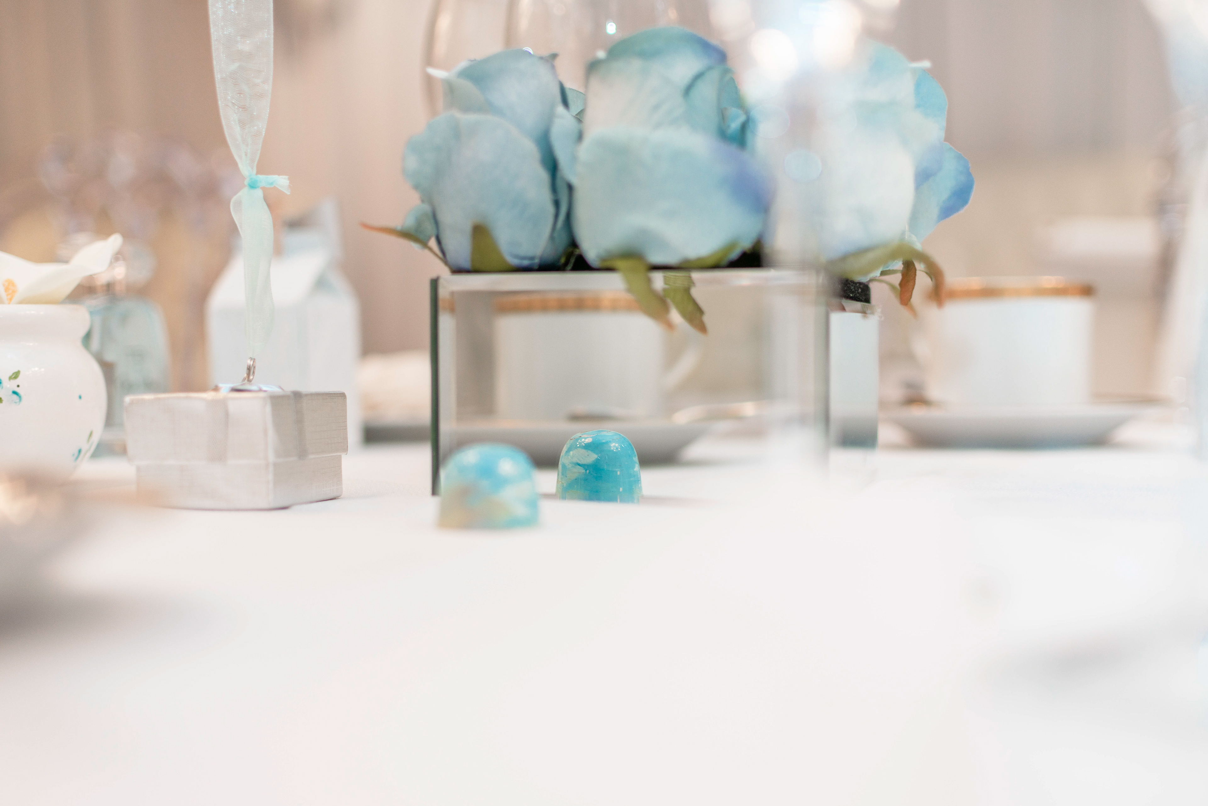 Copyright 2019 ONPH fotografía. Todos los derechos reservados.