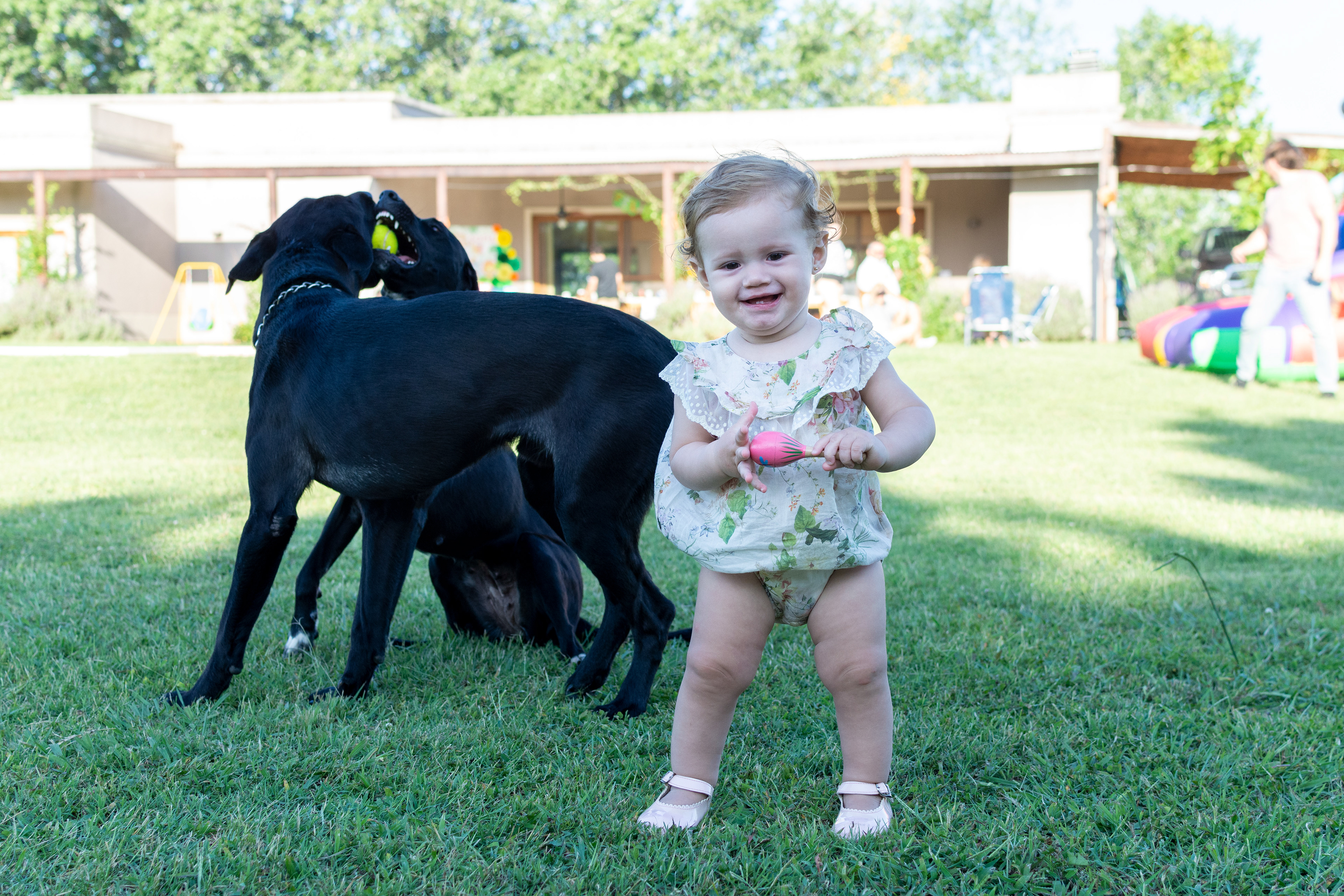 Copyright 2020 ONPH fotografía. Todos los derechos reservados.