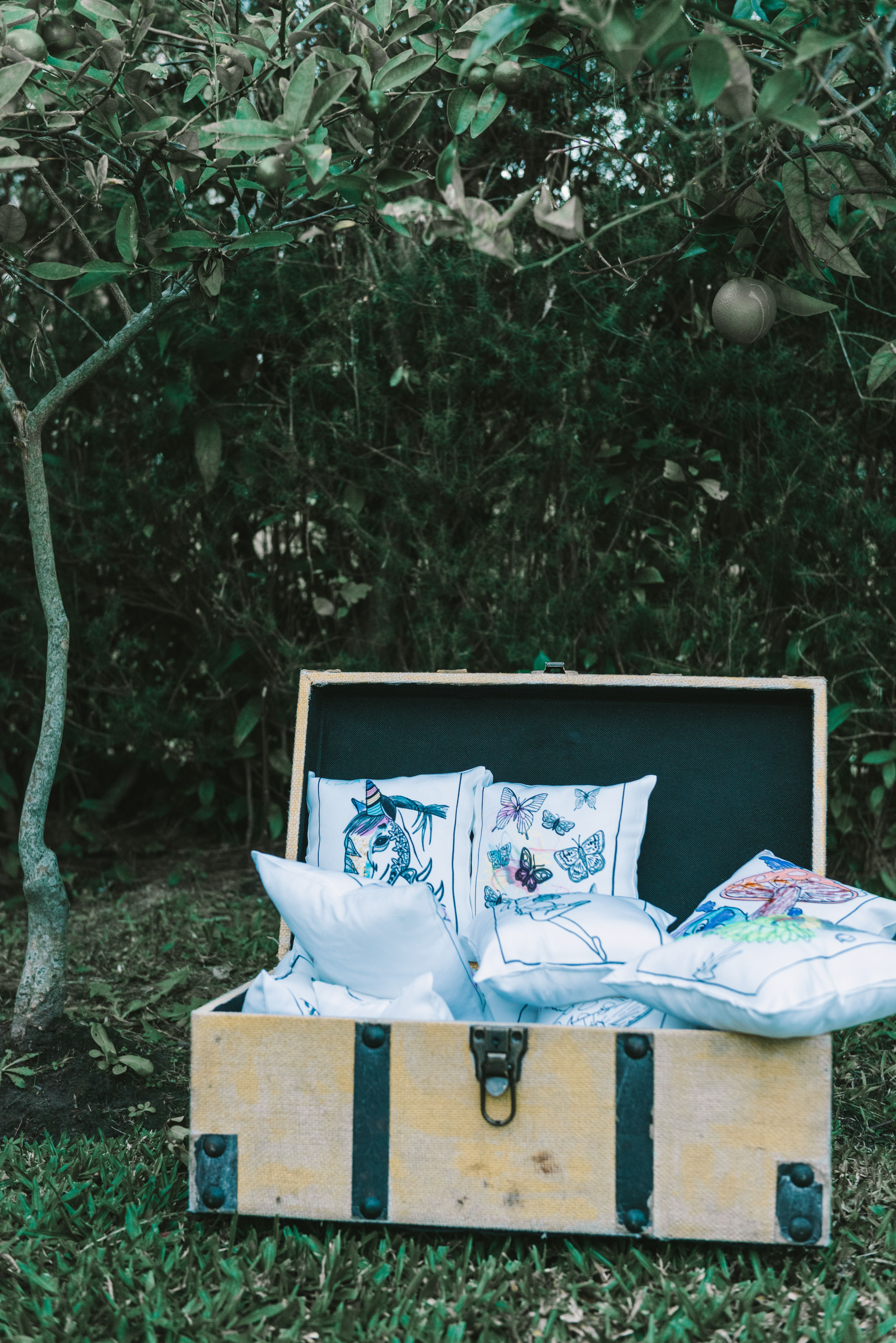 Copyright© 2021 ONPH fotografía. Todos los derechos reservados.