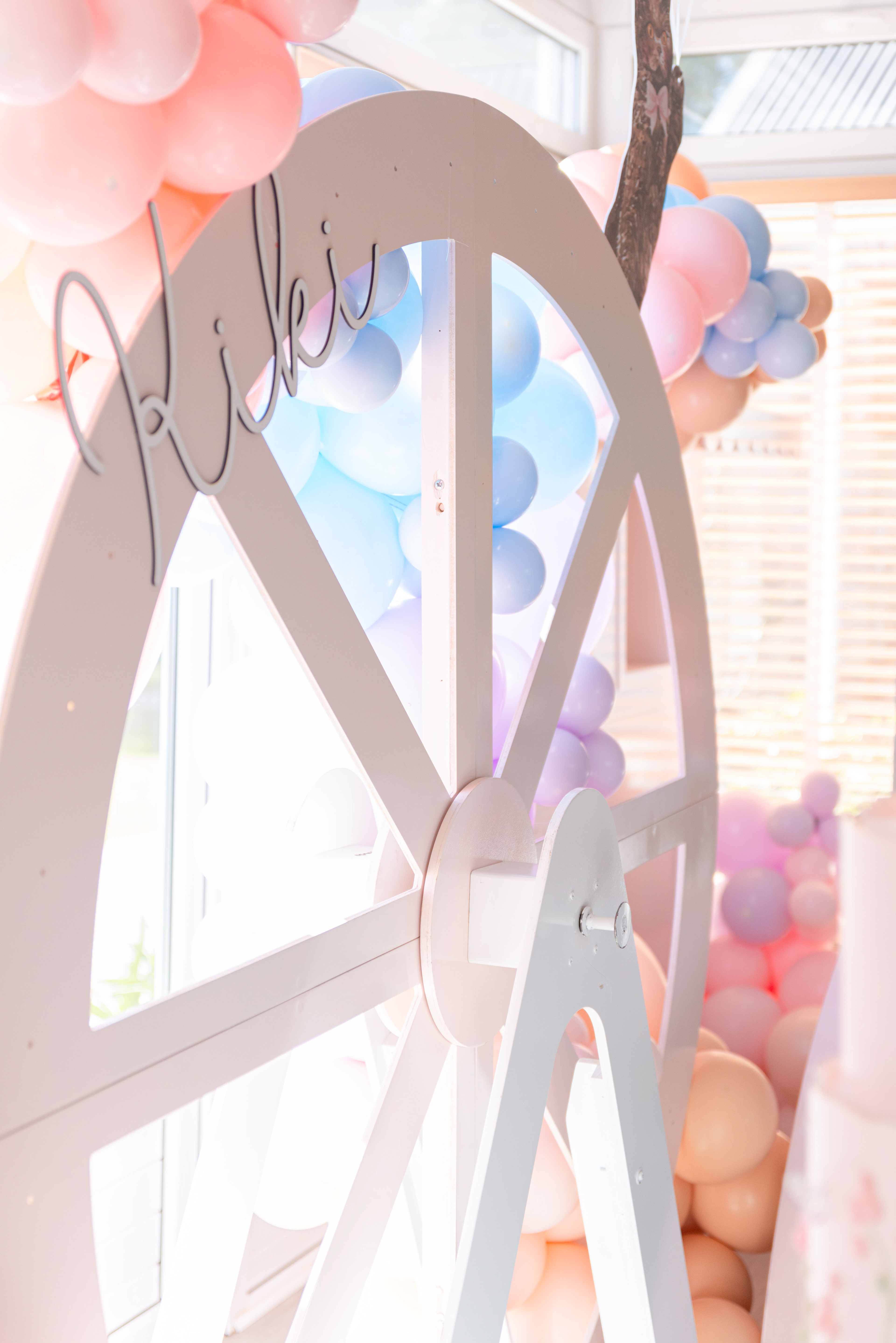 Copyright© ONPH fotografia. Todos los Derechos Reservados