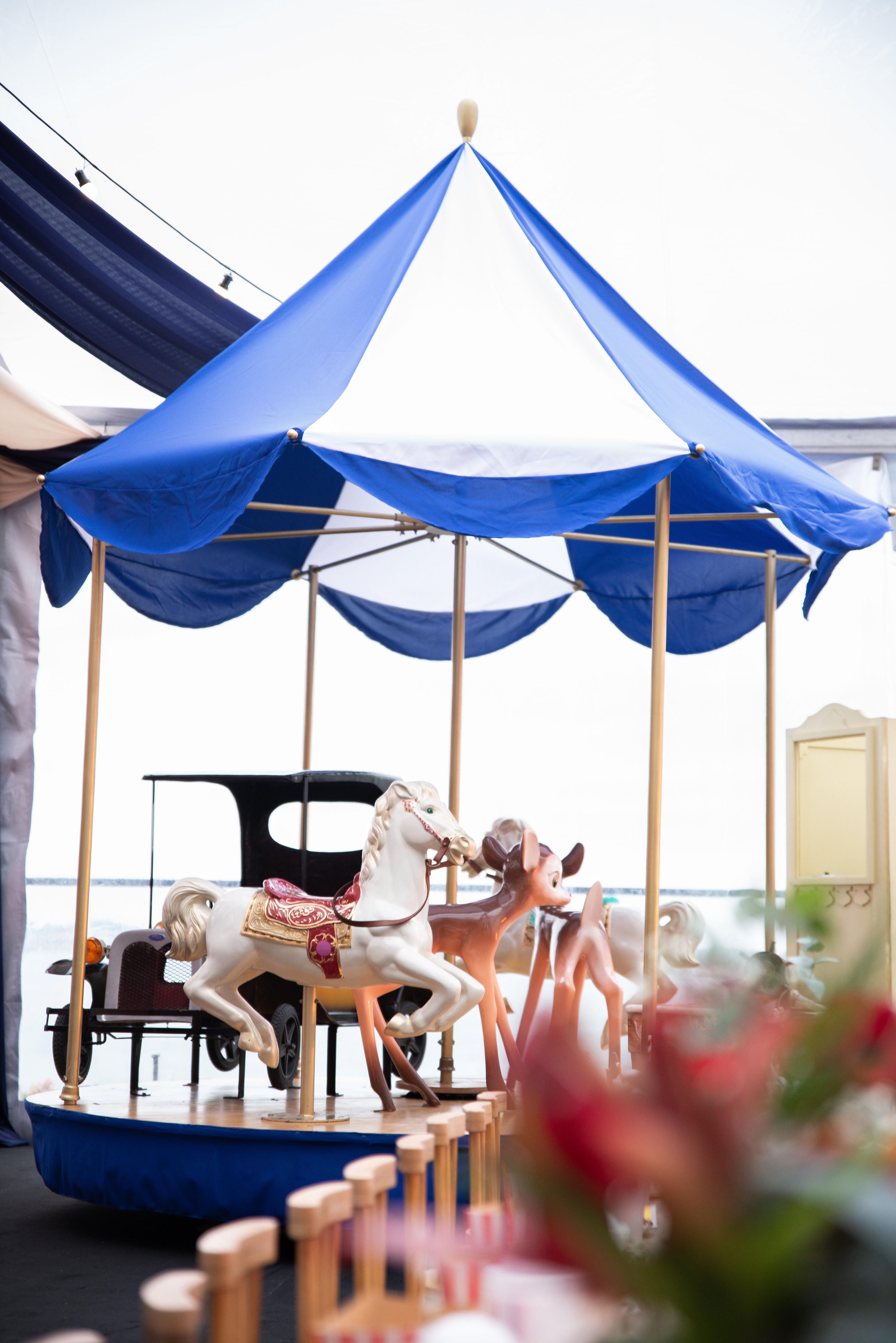 Copyright© ONPH fotografia. Todos los Derechos Reservados