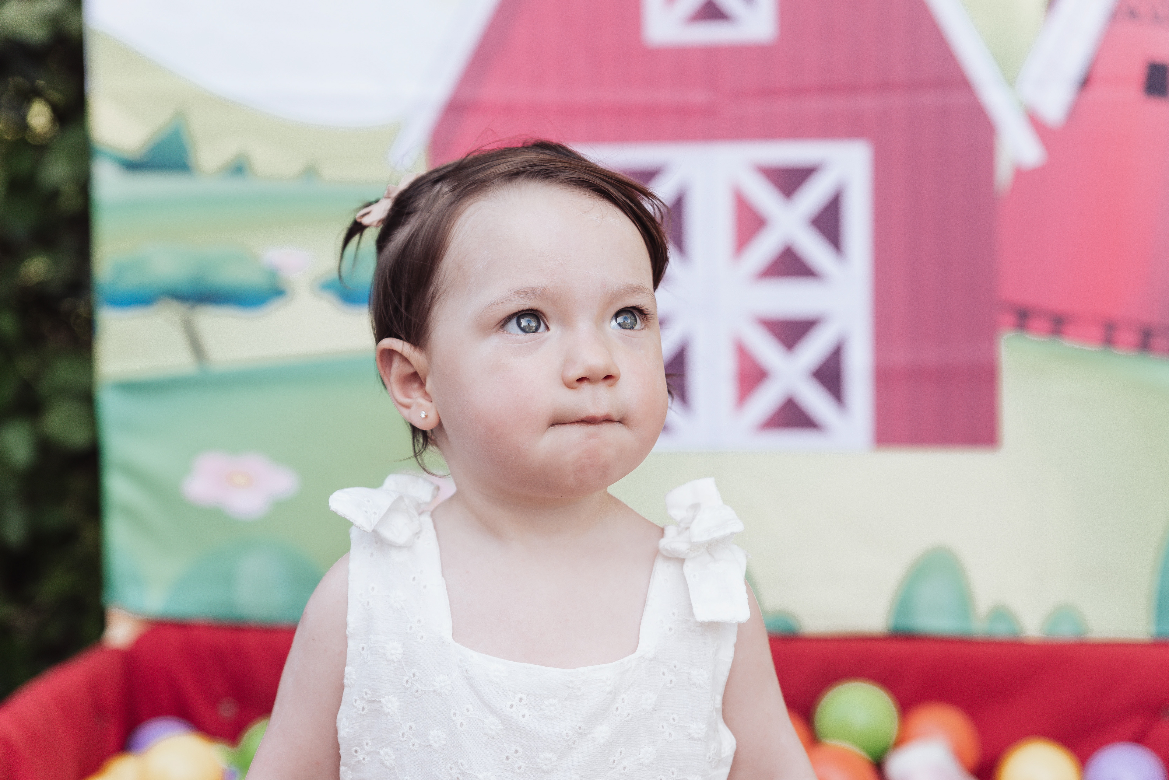 Copyright©2023 ONPH fotografia. Todos los Derechos Reservados