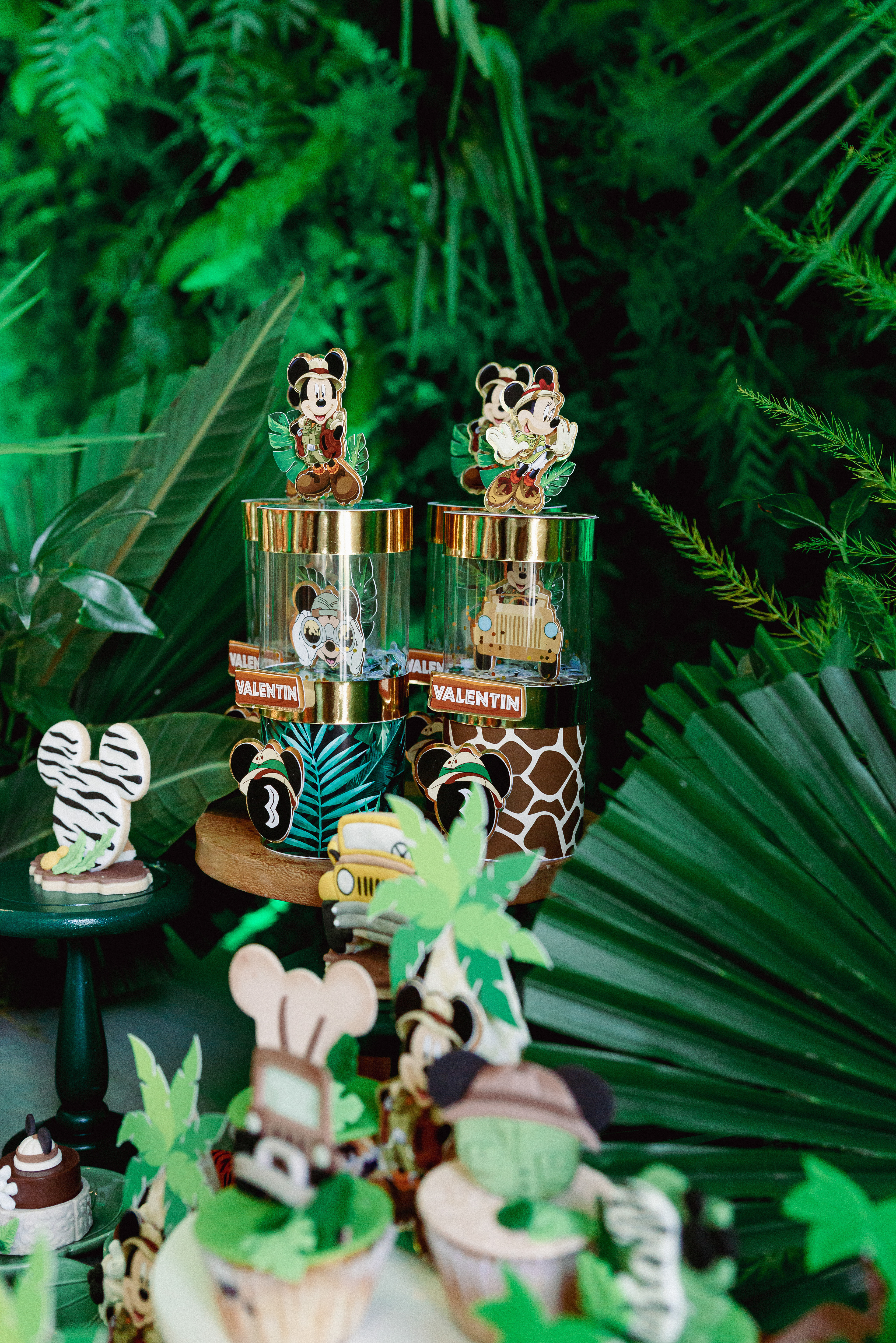 Copyright© ONPH fotografia. Todos los Derechos Reservados