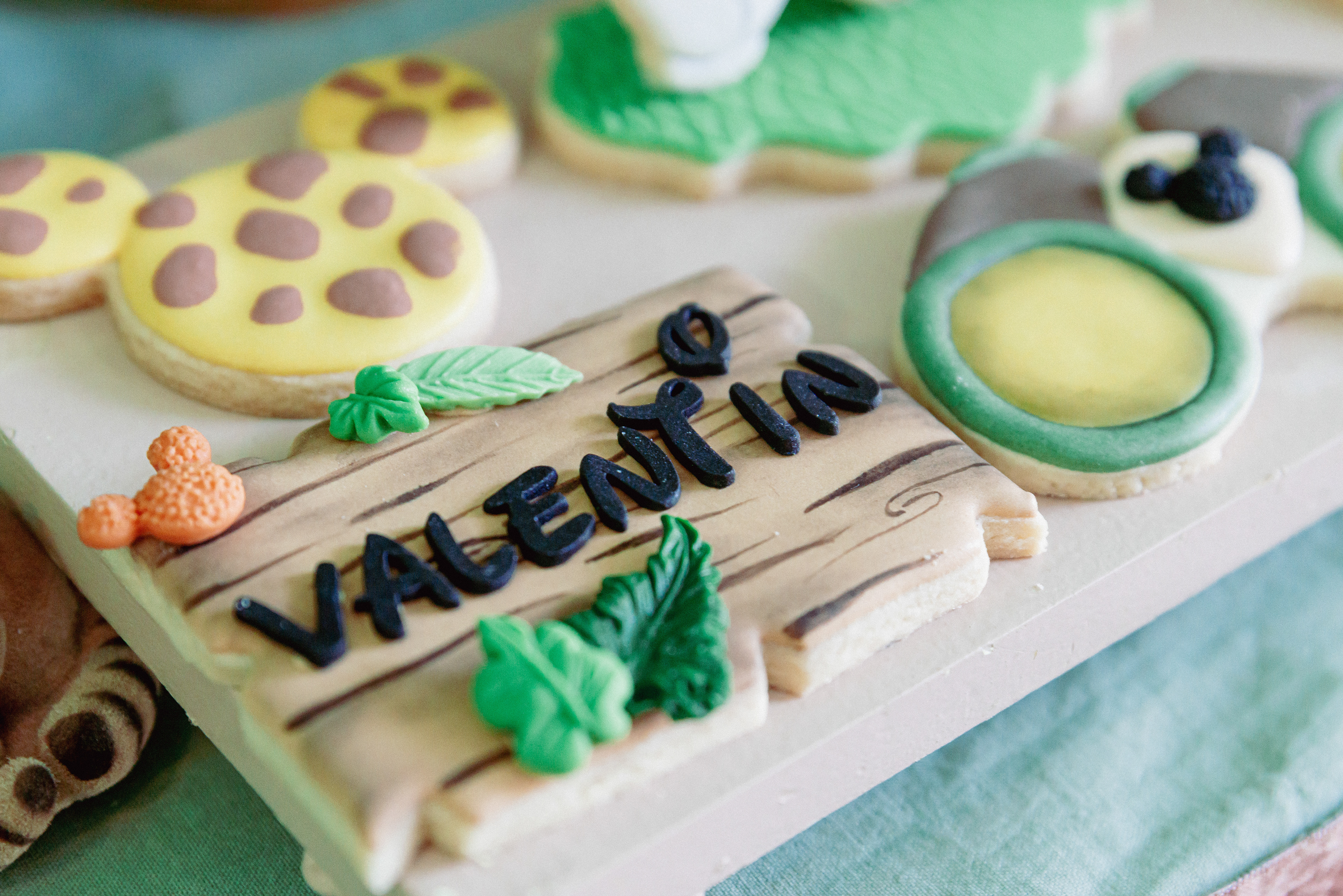 Copyright© ONPH fotografia. Todos los Derechos Reservados