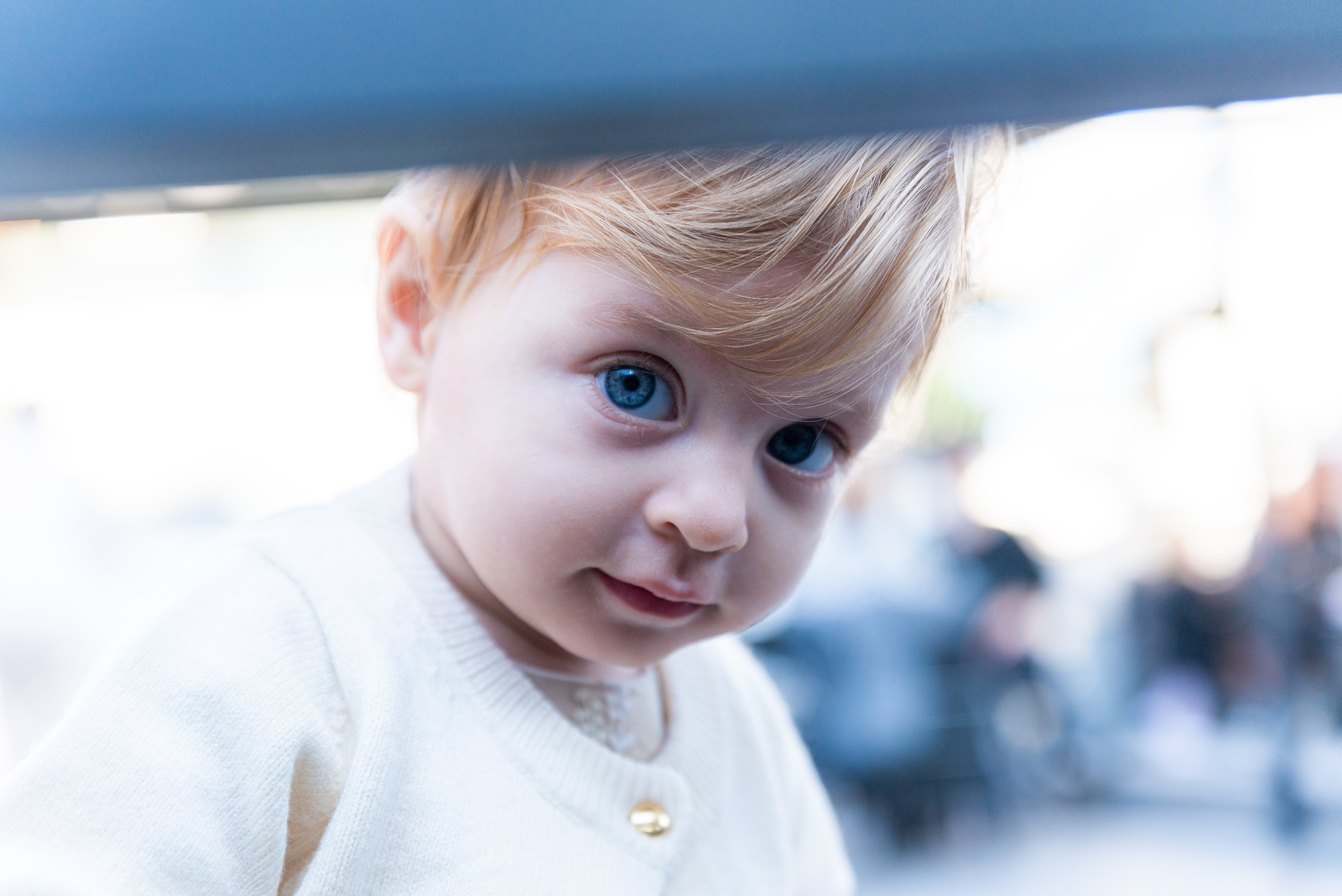 Copyright©2022 ONPH fotografia. Todos los Derechos Reservados