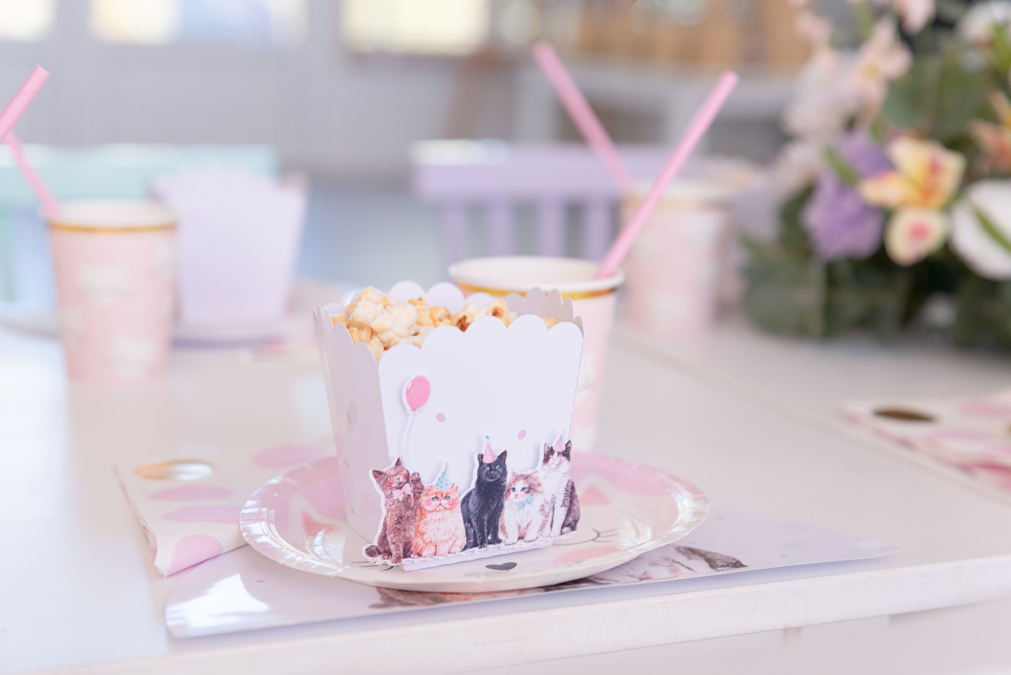 Copyright© ONPH fotografia. Todos los Derechos Reservados