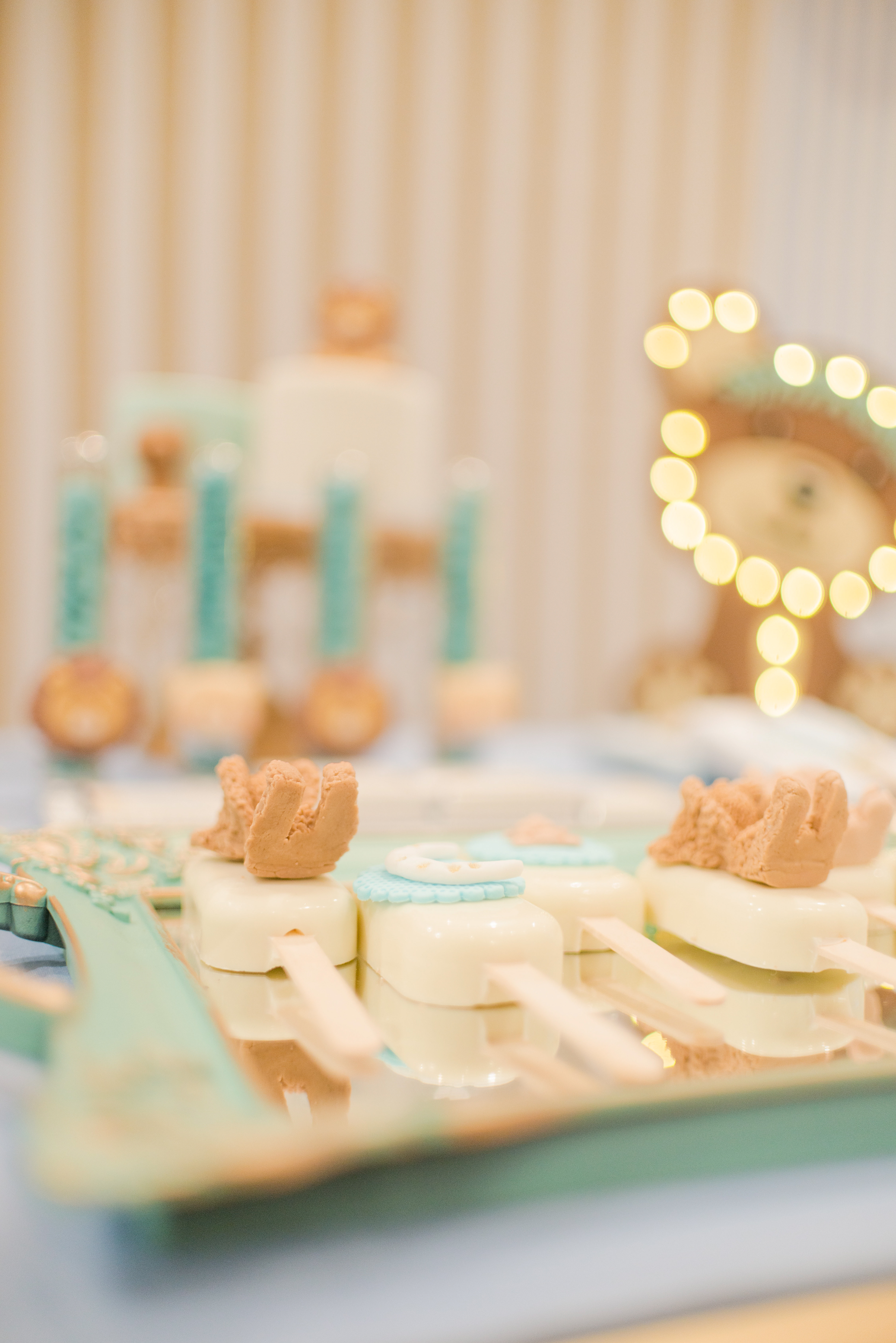 Copyright 2019 ONPH fotografía. Todos los derechos reservados.