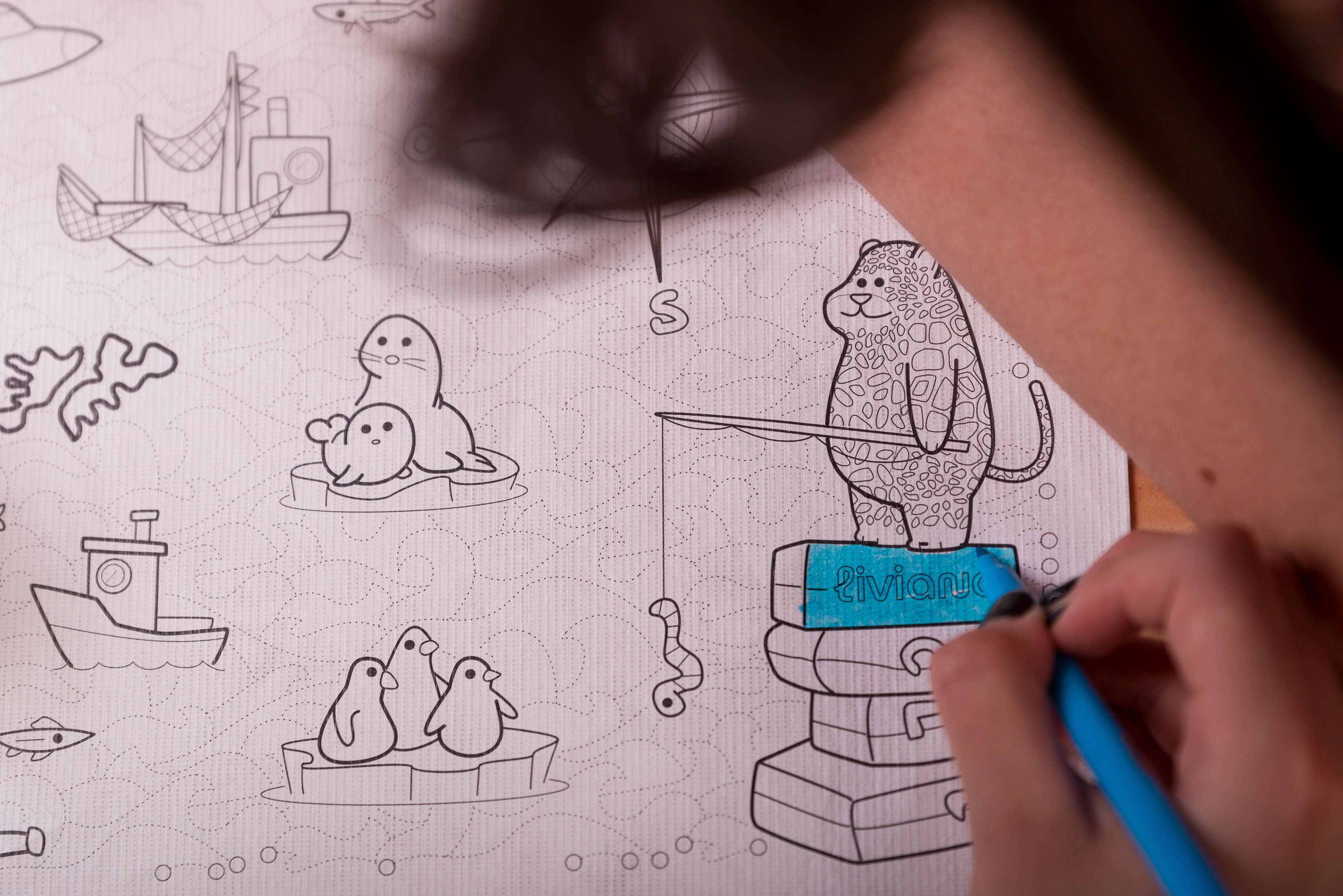 Copyright© 2021 ONPH fotografía. Todos los derechos reservados.