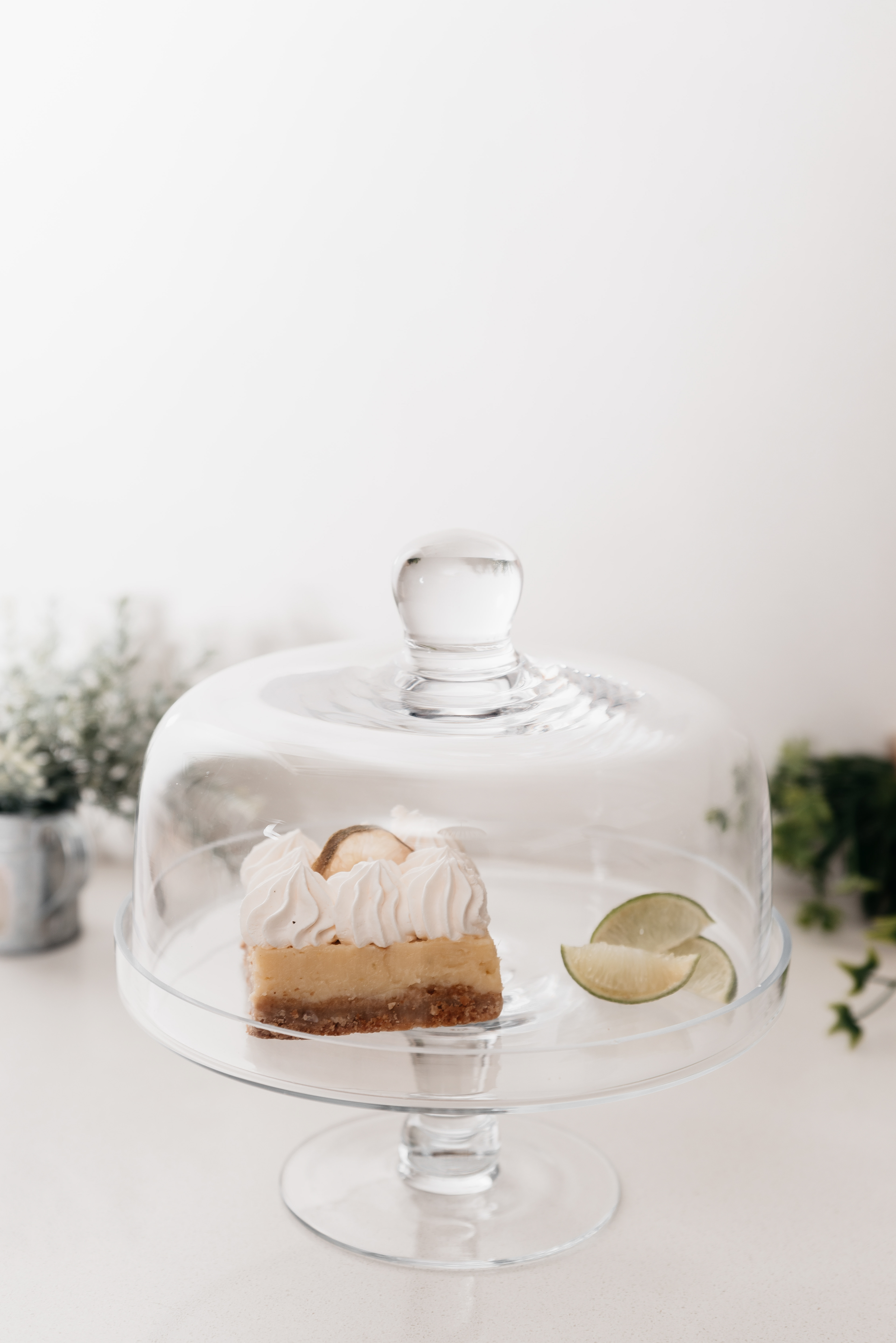 Copyright© ONPH fotografia. Todos los Derechos Reservados