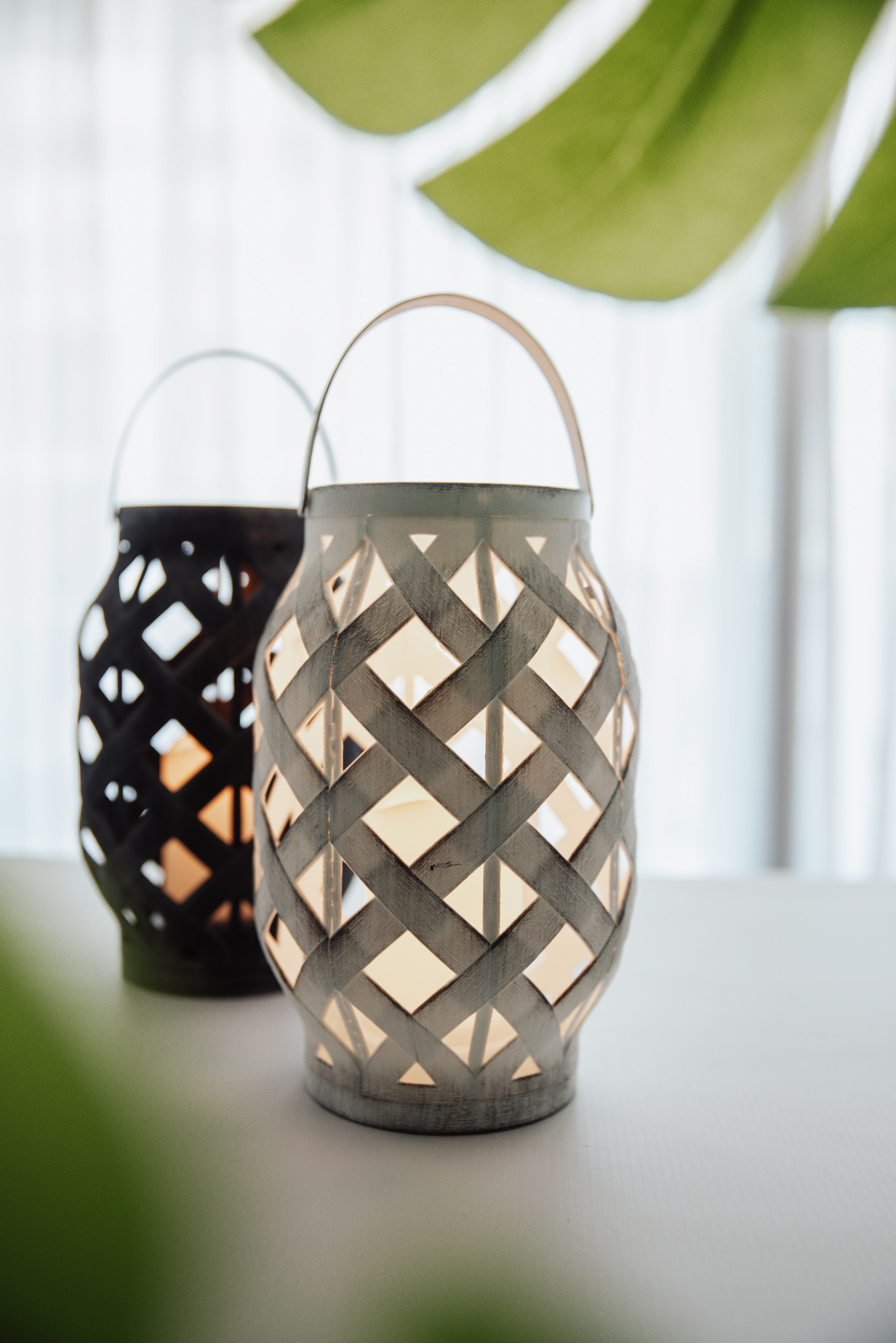 Copyright©2022 ONPH fotografia. Todos los Derechos Reservados