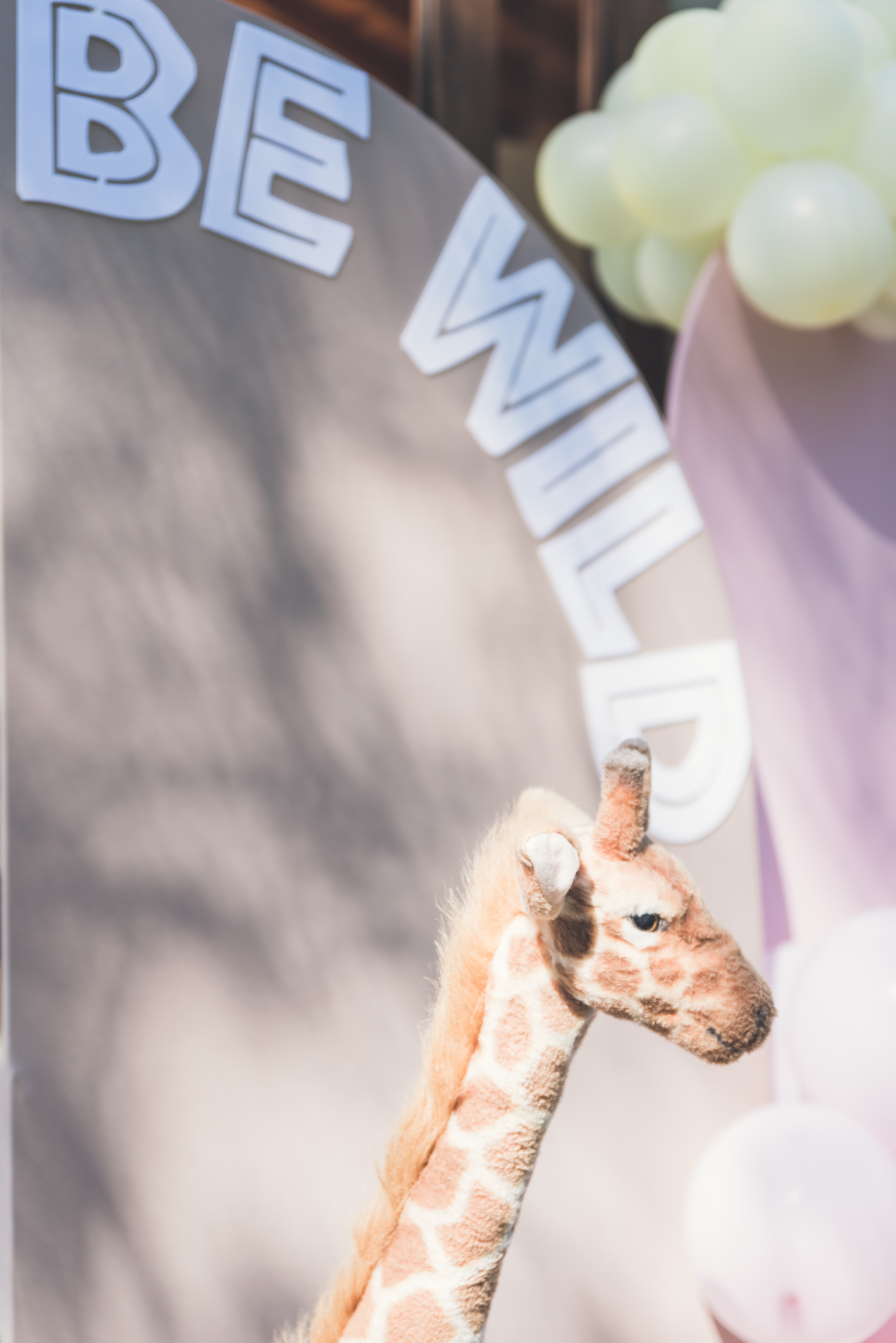 Copyright© ONPH fotografia. Todos los Derechos Reservados