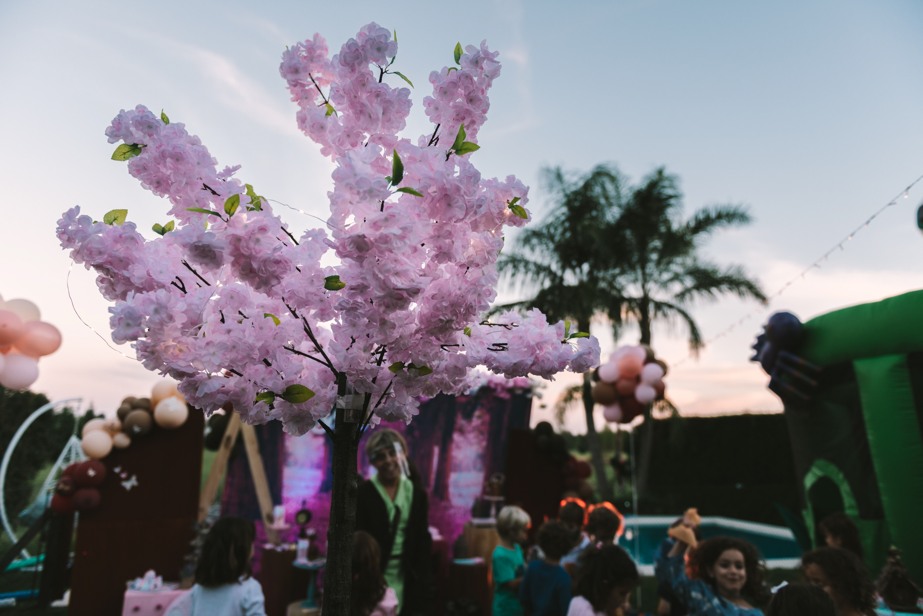 Copyright© 2021 ONPH fotografía. Todos los derechos reservados.