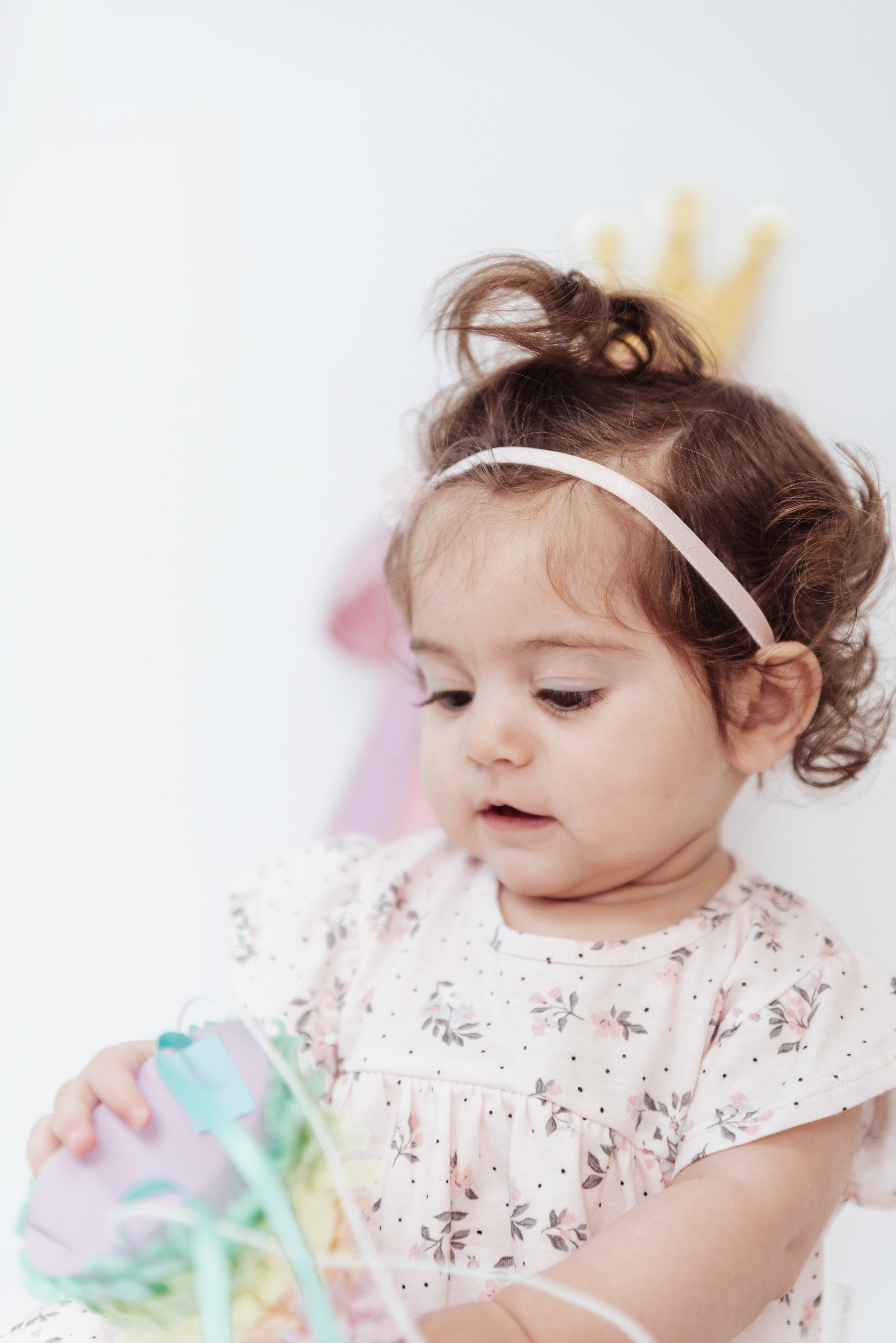 Copyright© ONPH fotografia. Todos los Derechos Reservados