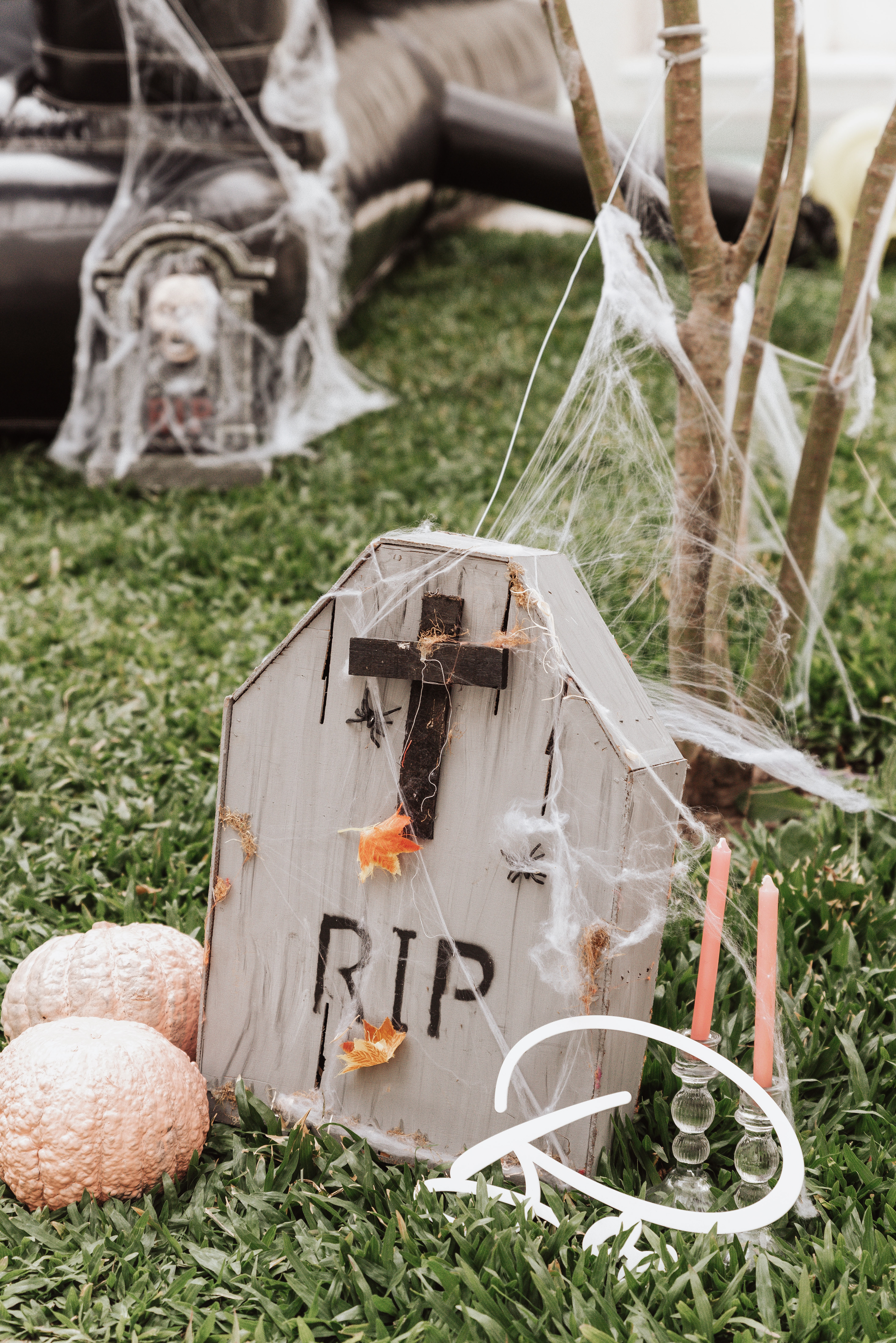 Copyright©2022 ONPH fotografia. Todos los Derechos Reservados