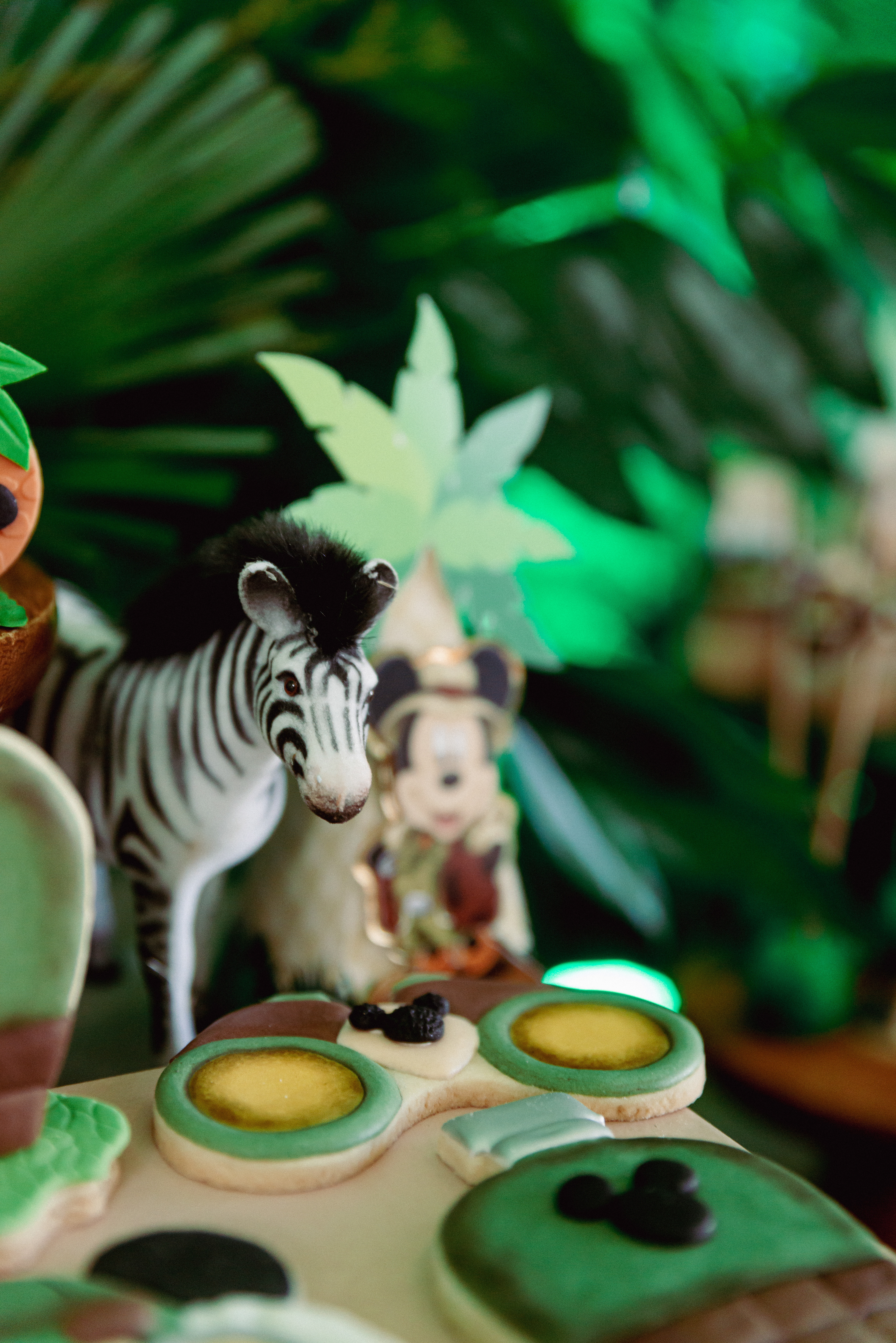 Copyright© ONPH fotografia. Todos los Derechos Reservados