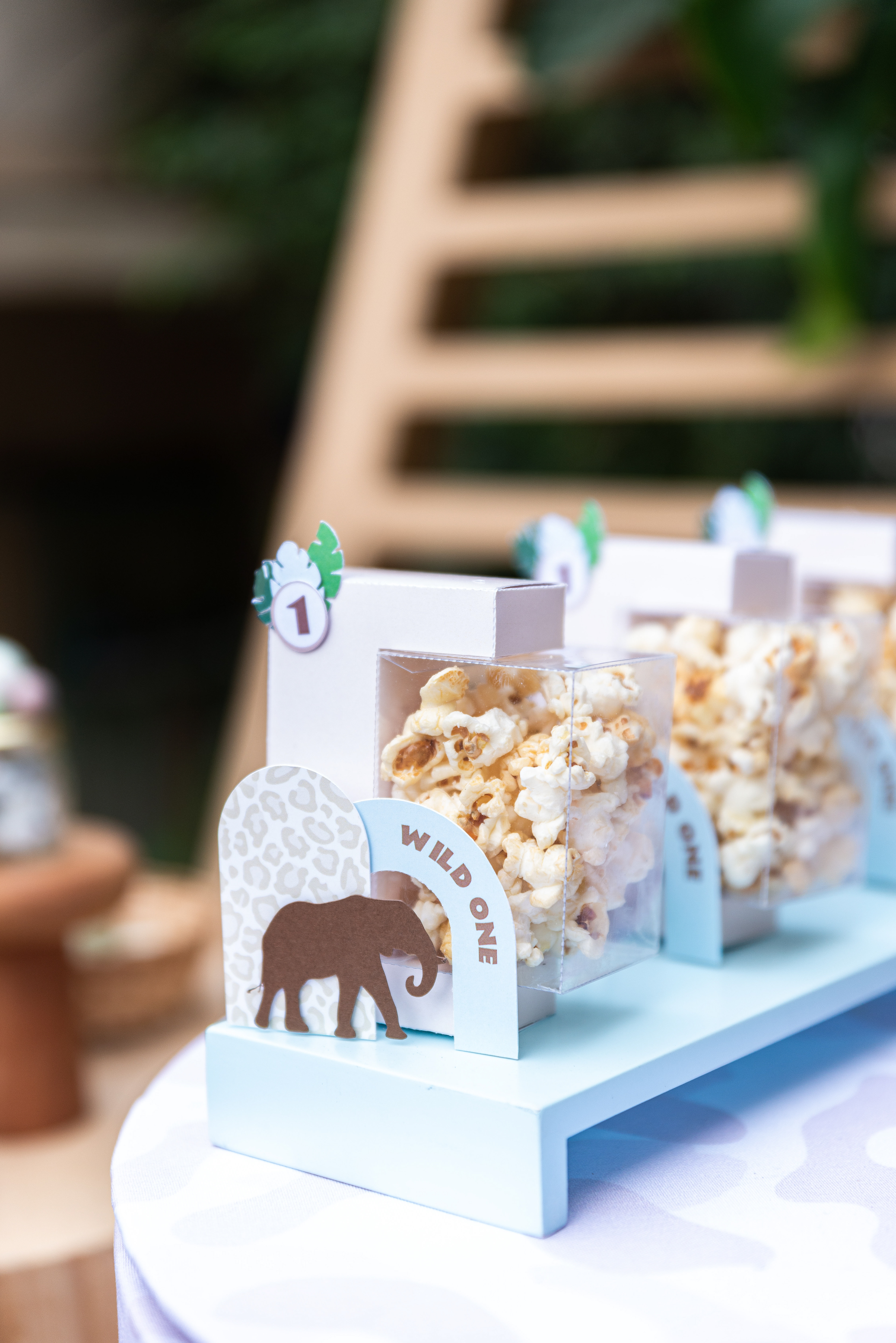 Copyright©2022 ONPH fotografia. Todos los Derechos Reservados