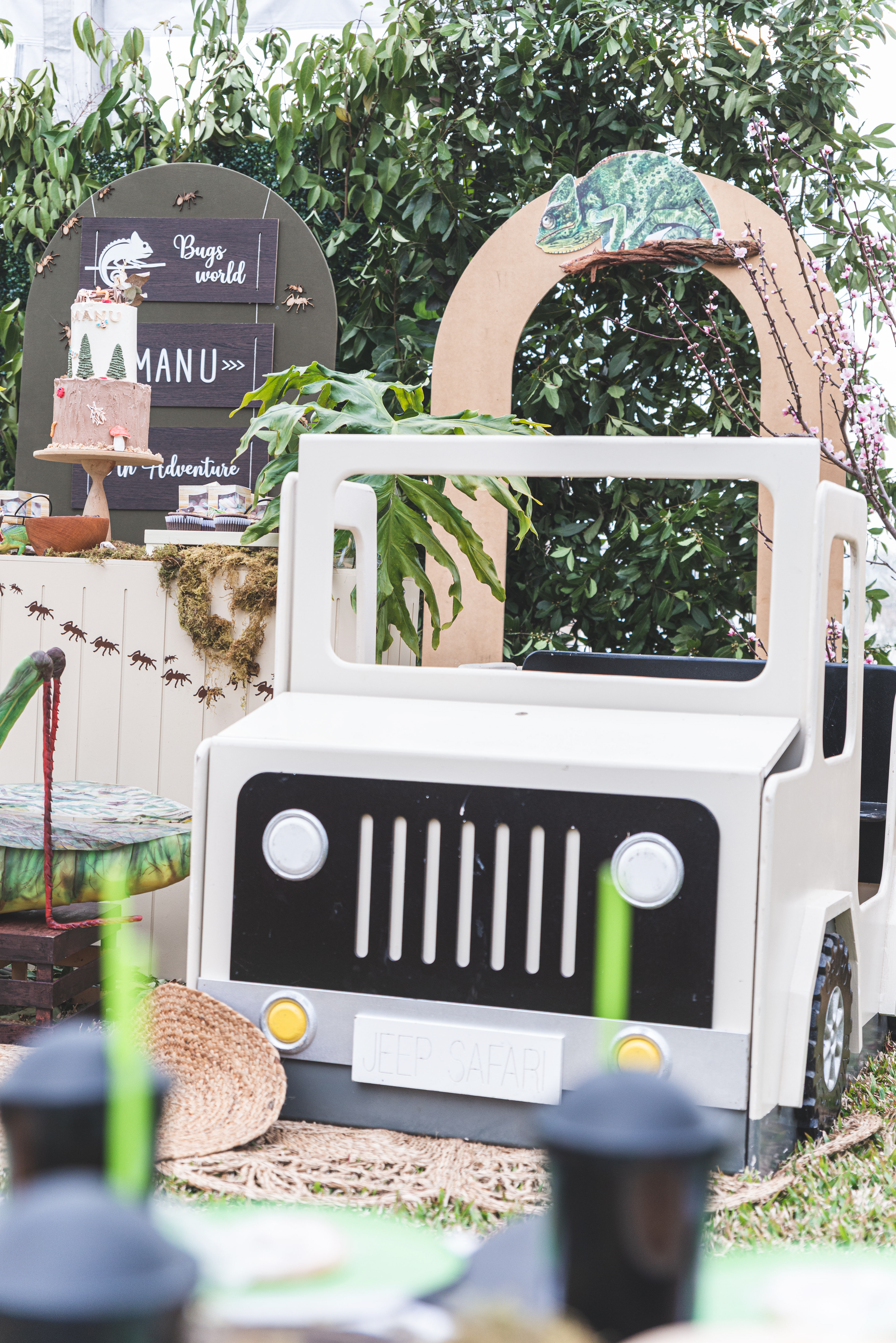 Copyright© ONPH fotografia. Todos los Derechos Reservados