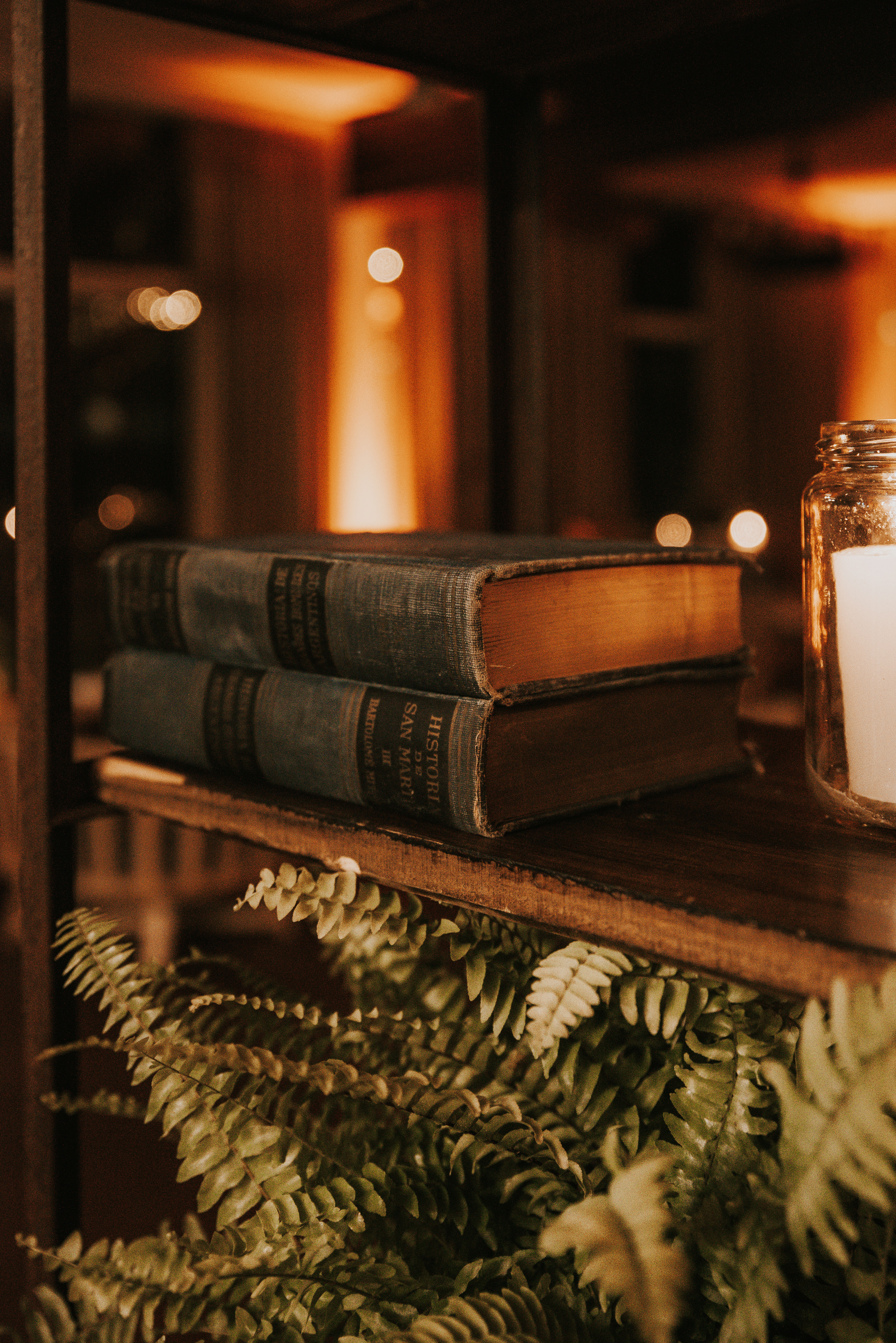 Copyright© ONPH fotografia. Todos los Derechos Reservados